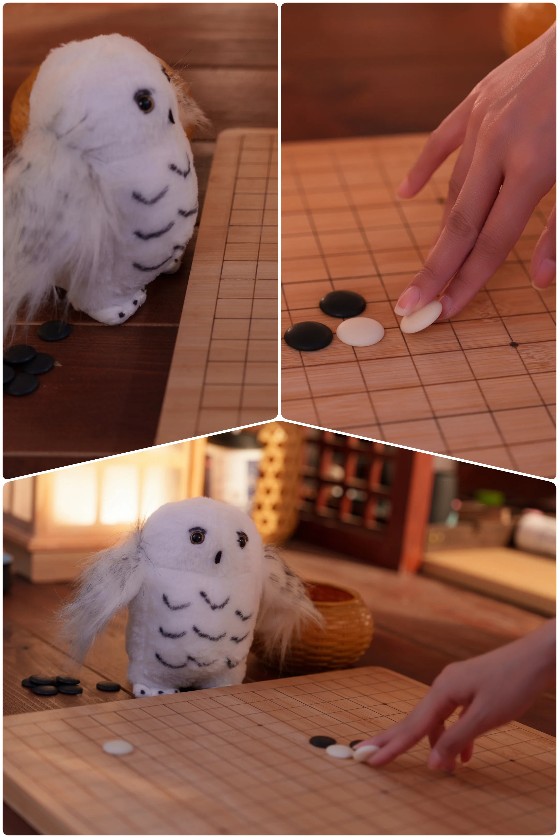 【フィリオプシスコスプレ】アークナイツ「扶雲間」、灯影の下に囲みて一局の碁を尋ねる - 3 枚目