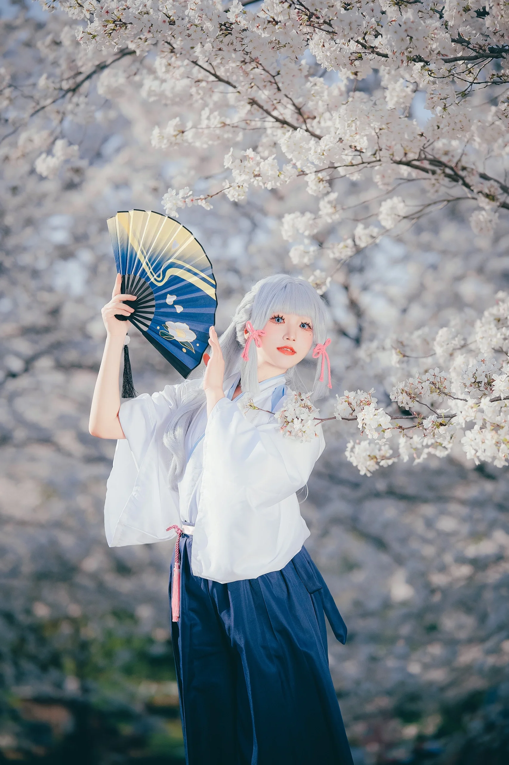 【神裡綾華cos】白櫻下的稻妻劍士，摺扇與太刀的組合 - 第 6 張