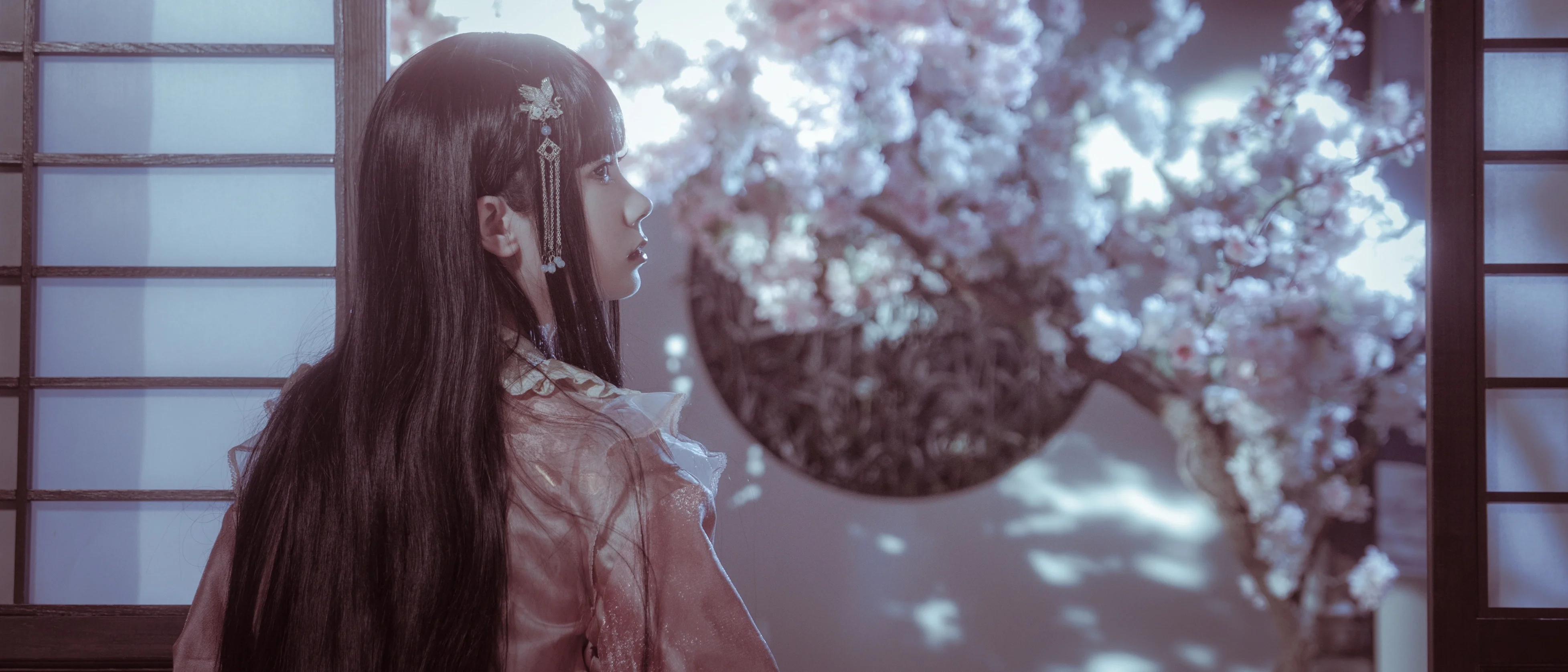 【蓬萊山輝夜cos】月華下的永夜與清夢 - 第 10 張