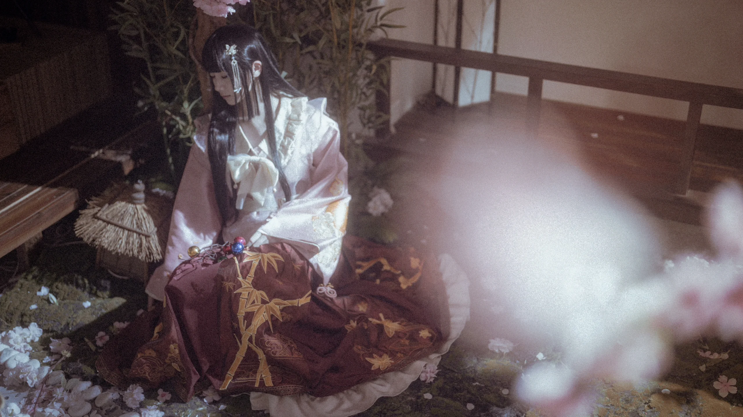 【蓬萊山輝夜cos】月華下的永夜與清夢 - 第 16 張