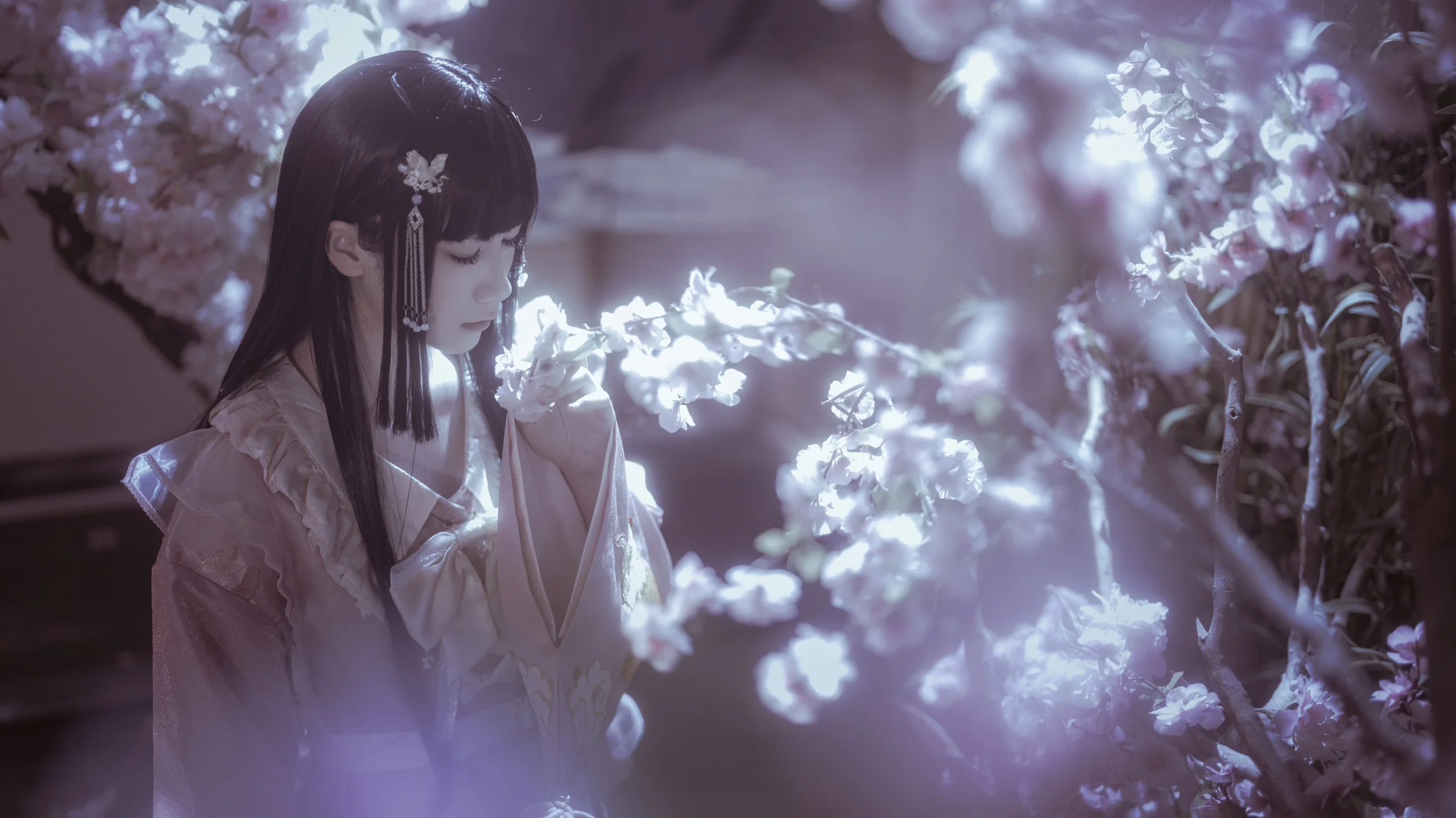 【蓬萊山輝夜cos】月華下的永夜與清夢 - 第 4 張