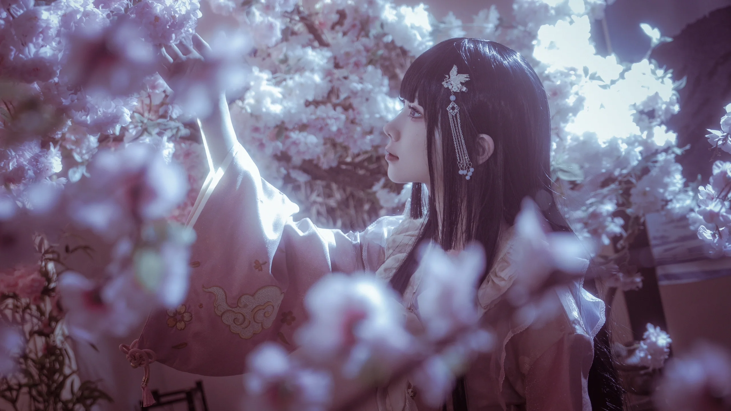 【蓬萊山輝夜cos】月華下的永夜與清夢 - 第 9 張