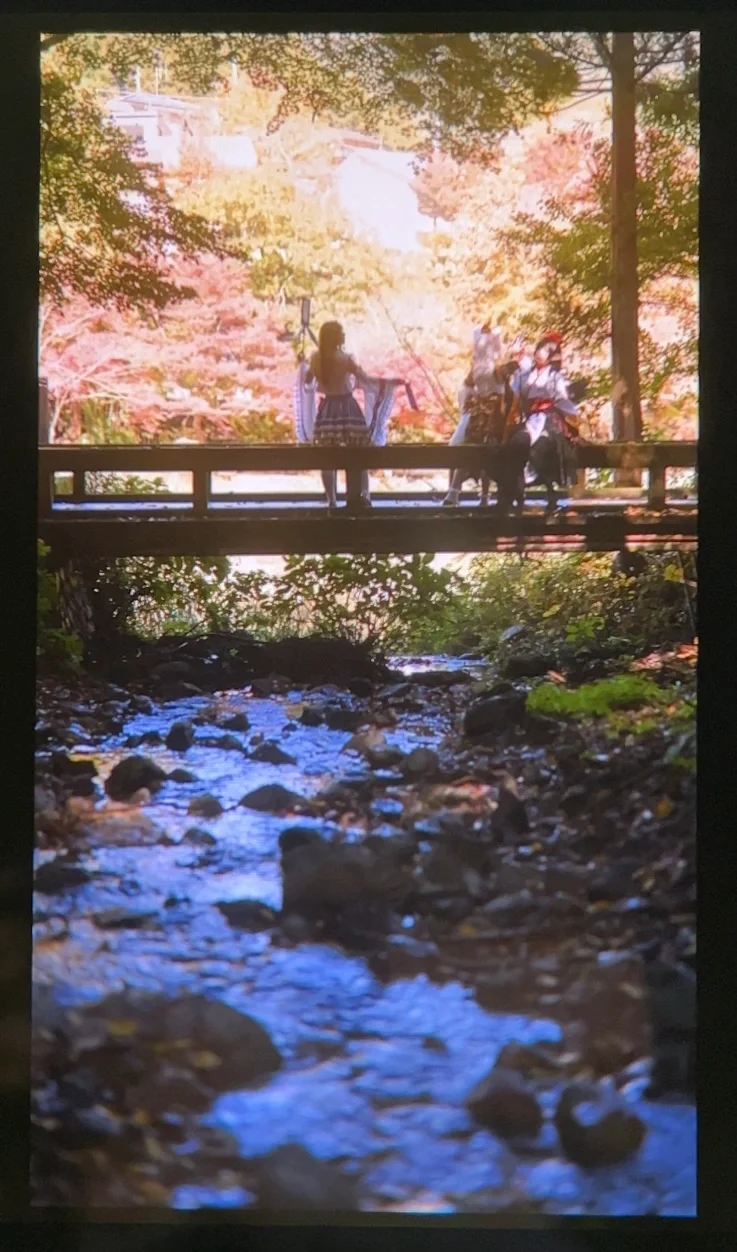 【射命丸文cos】东方风神录的幻想乡红叶之旅 - 第 4 张