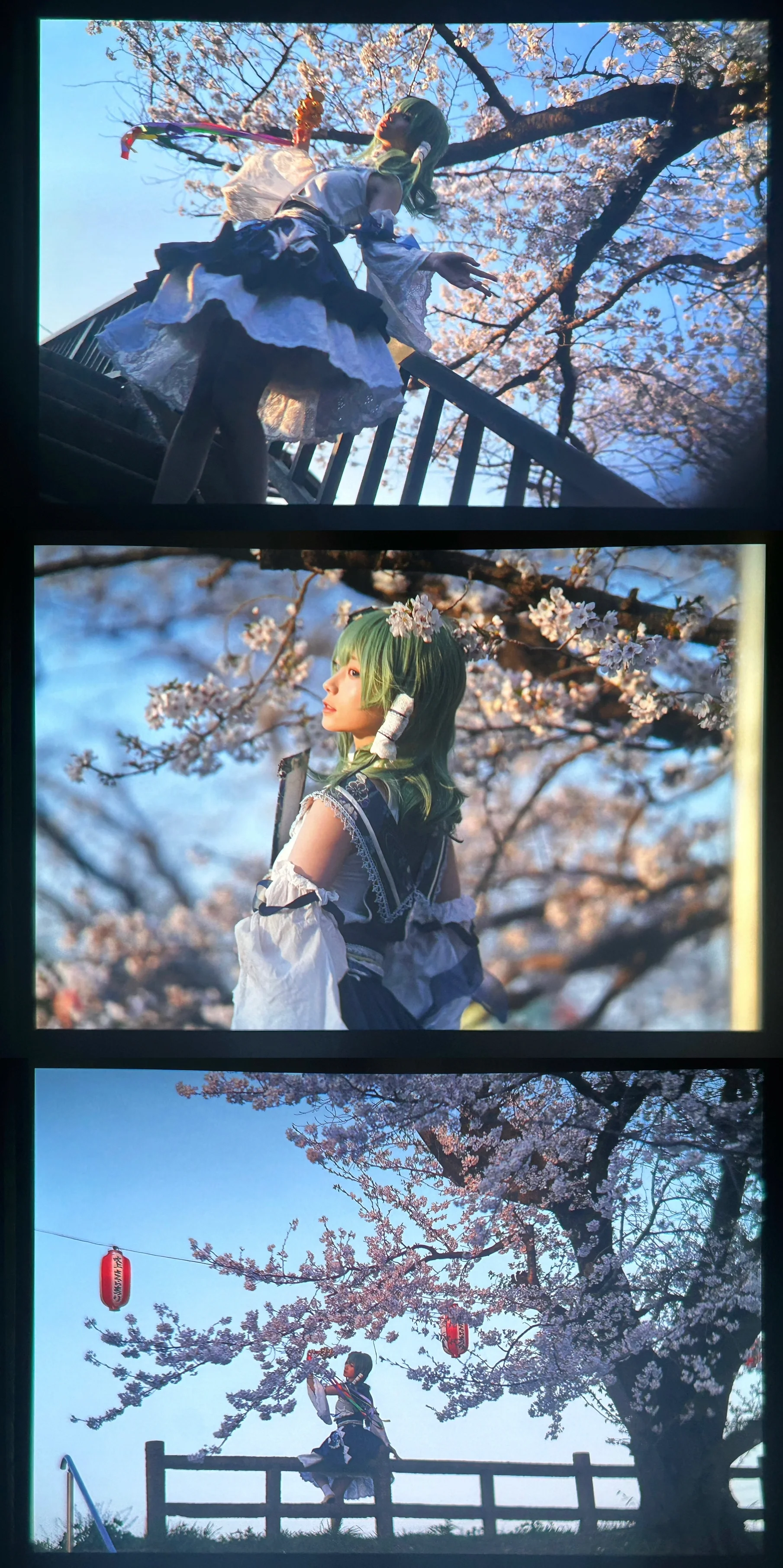 【东风谷早苗cos】春日樱花树下的东方幻想乡摄影记录 - 第 5 张