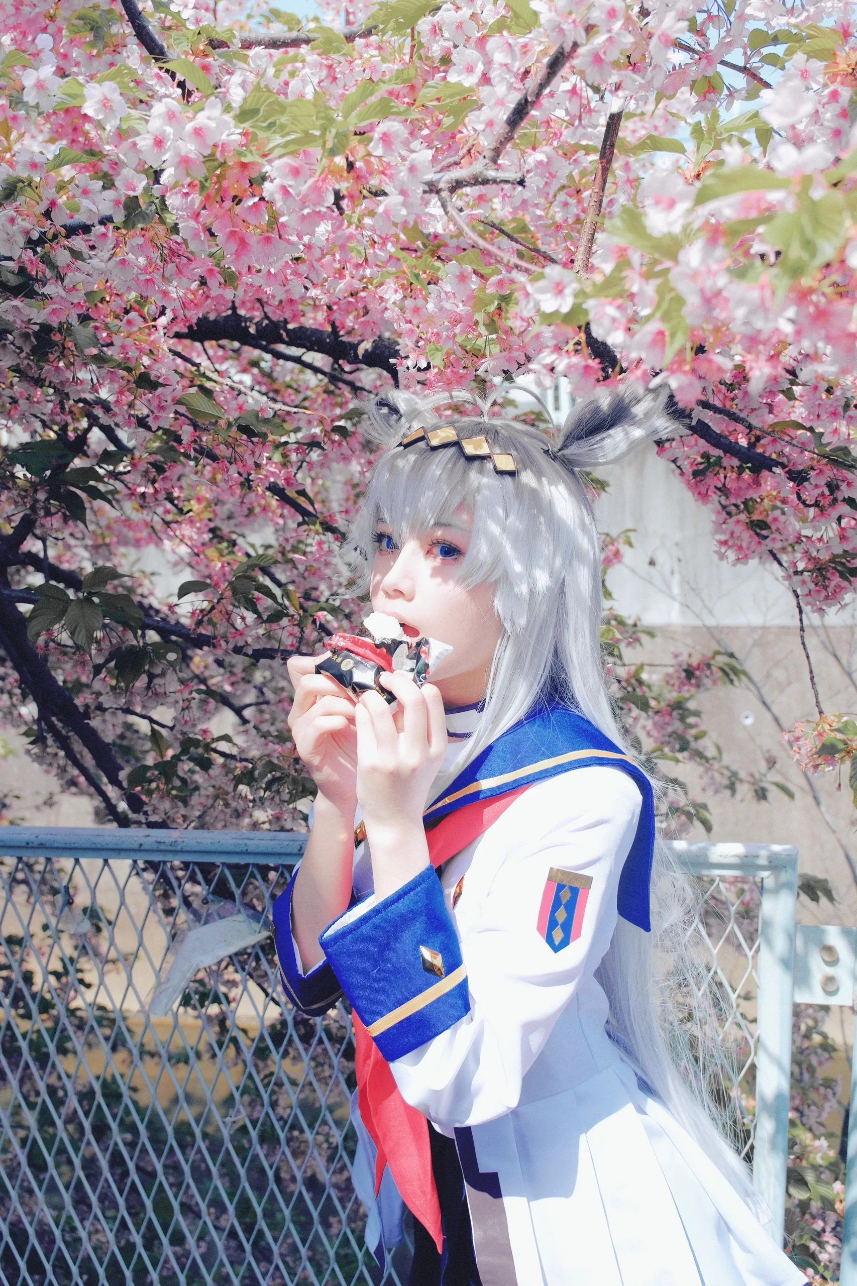 【小栗帽cos】赛马娘芦毛灰姑娘，春风里奔跑的身影就是幸运本身 - 第 12 张