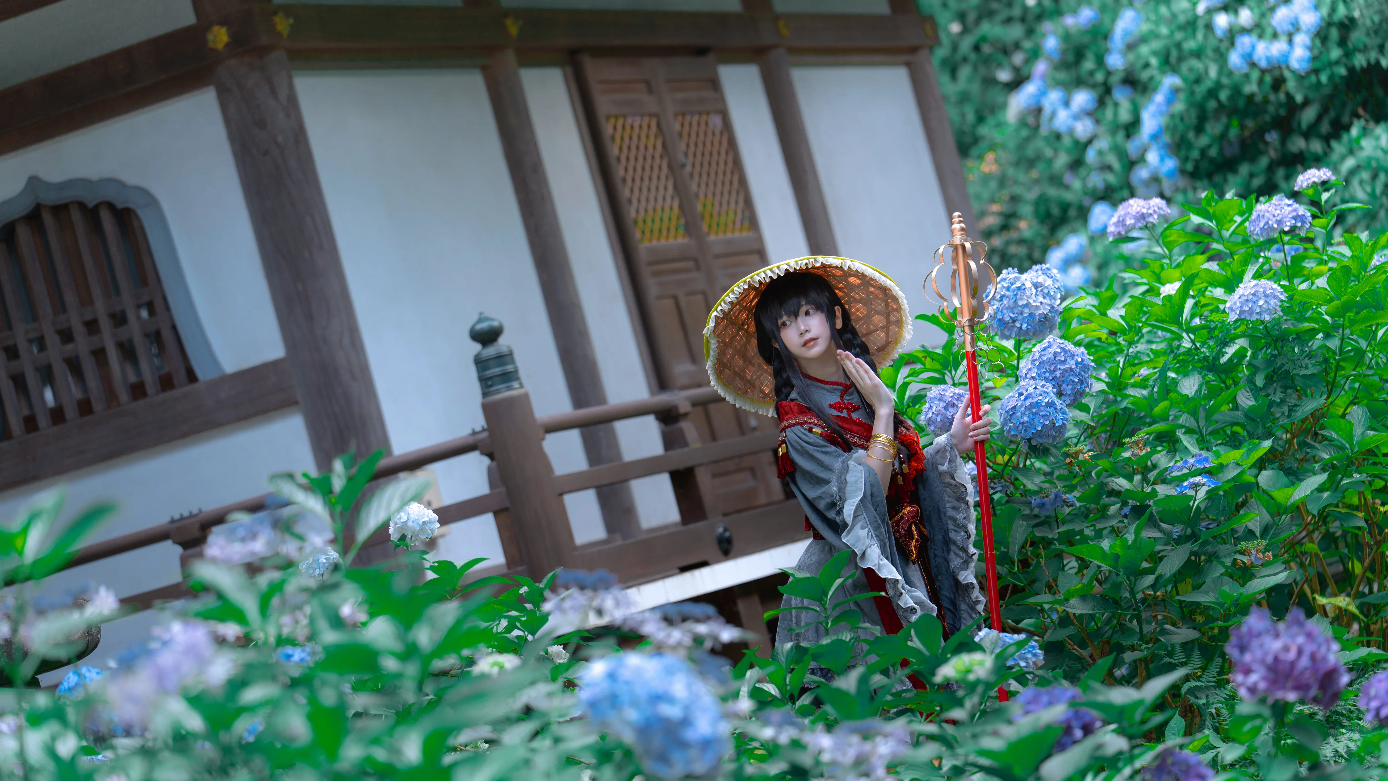 【矢田寺成美cos】紫阳花季的行者，漫步石板路的朝圣之旅 - 第 10 张