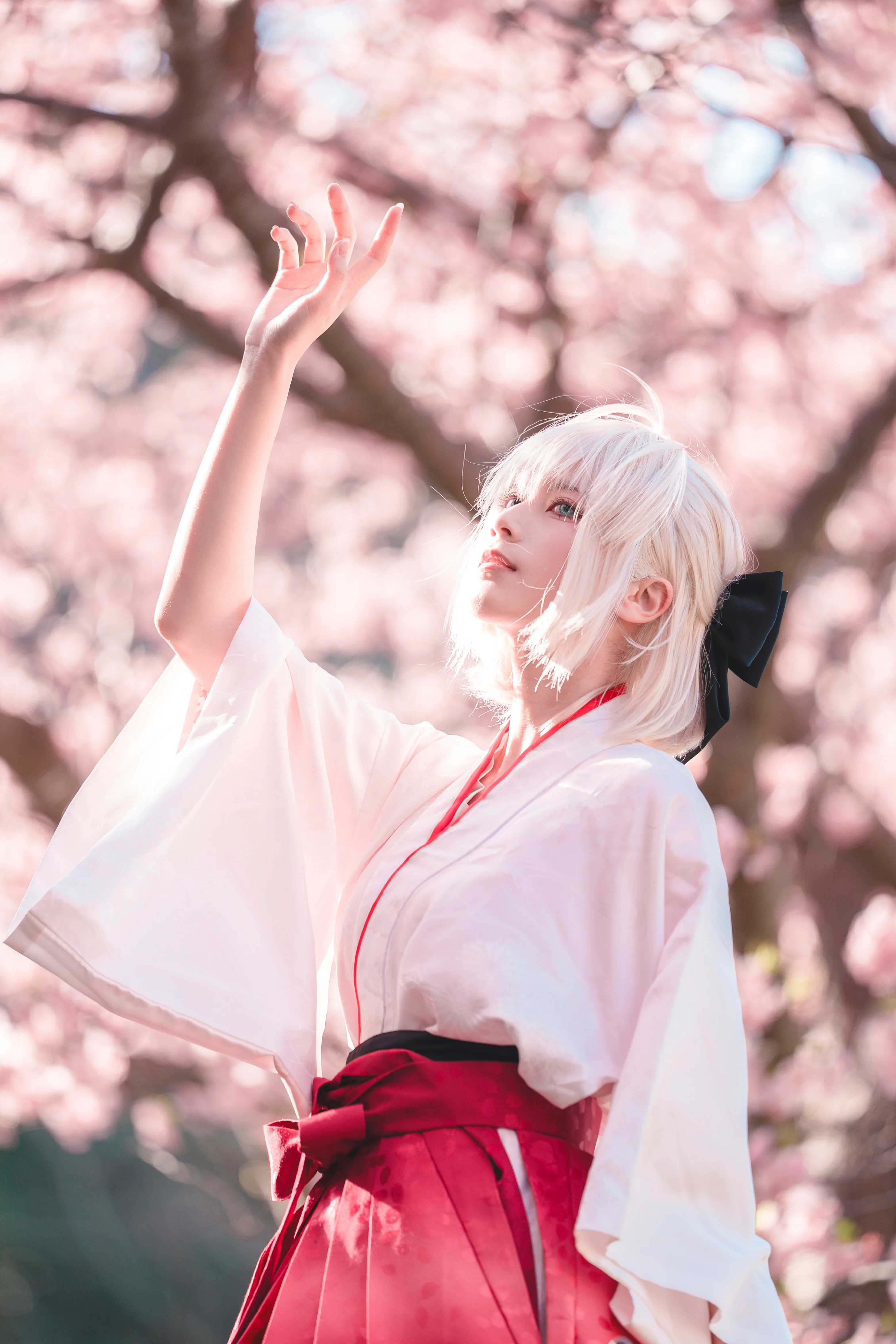【沖田總司cos】櫻花樹下的笑容與和風 - 第 3 張