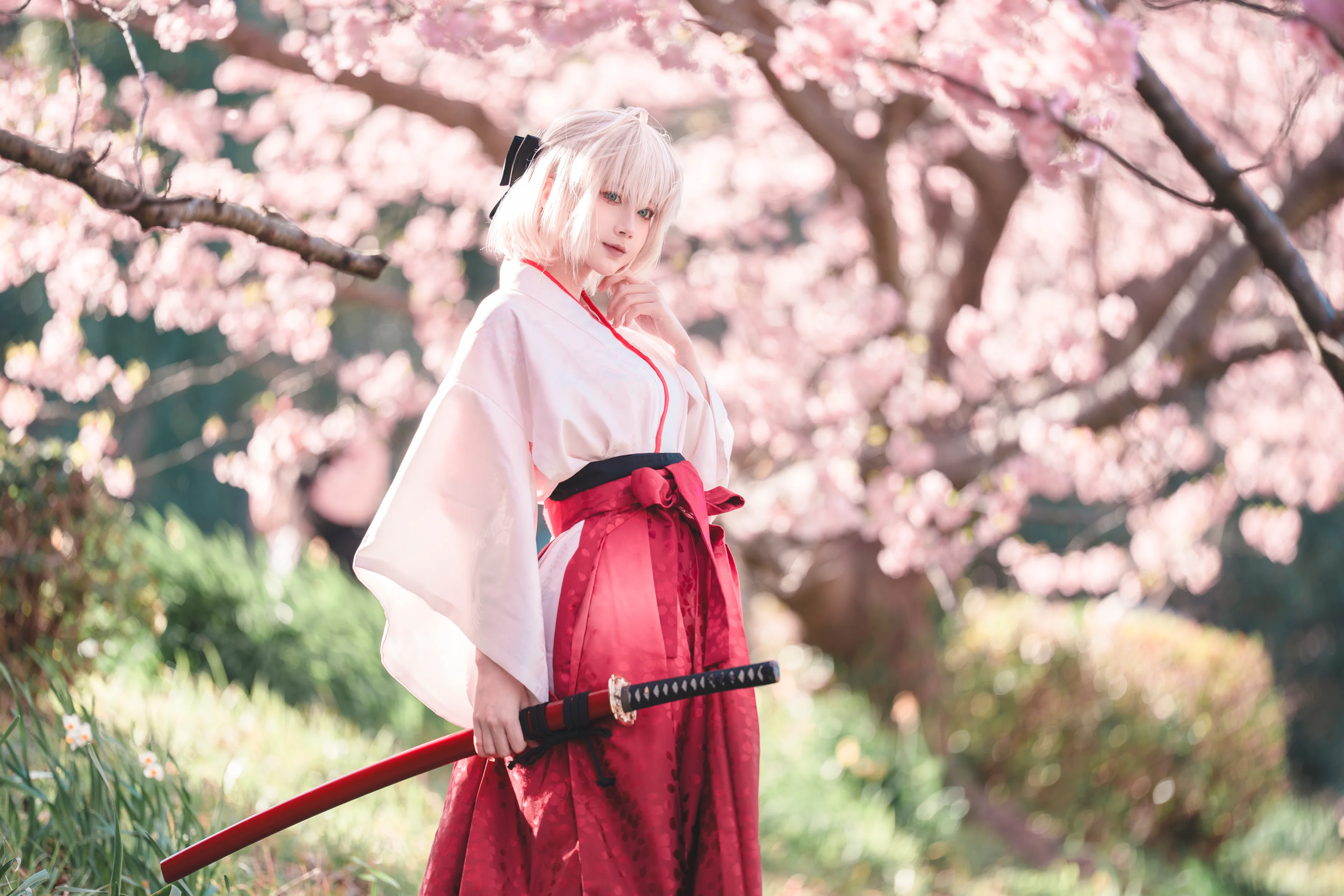 【冲田总司cos】Fate/Grand Order，春樱下的飒爽巡逻时光