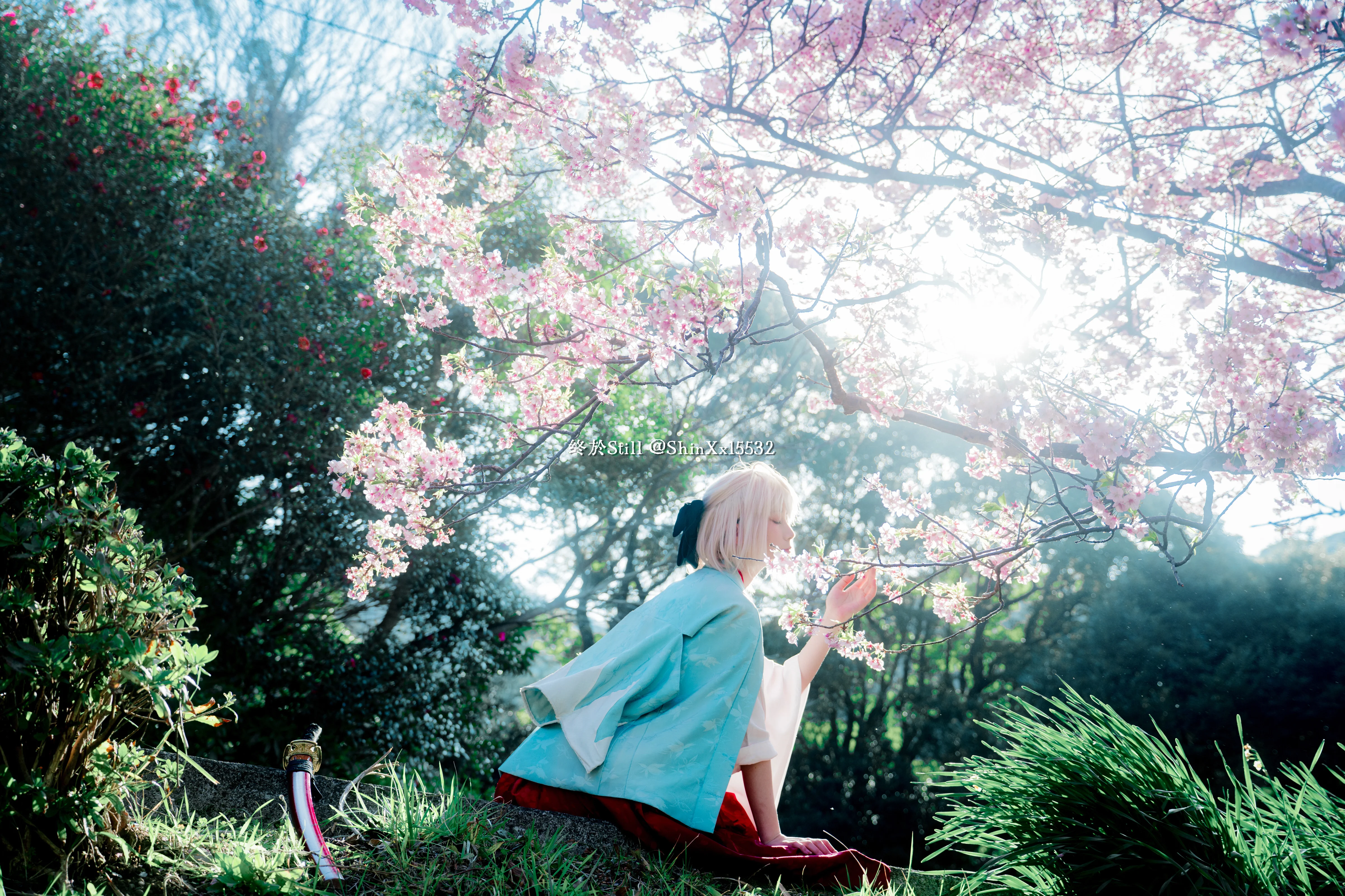 【冲田总司cos】春日的诚之旗，樱花下的出阵 - 第 5 张