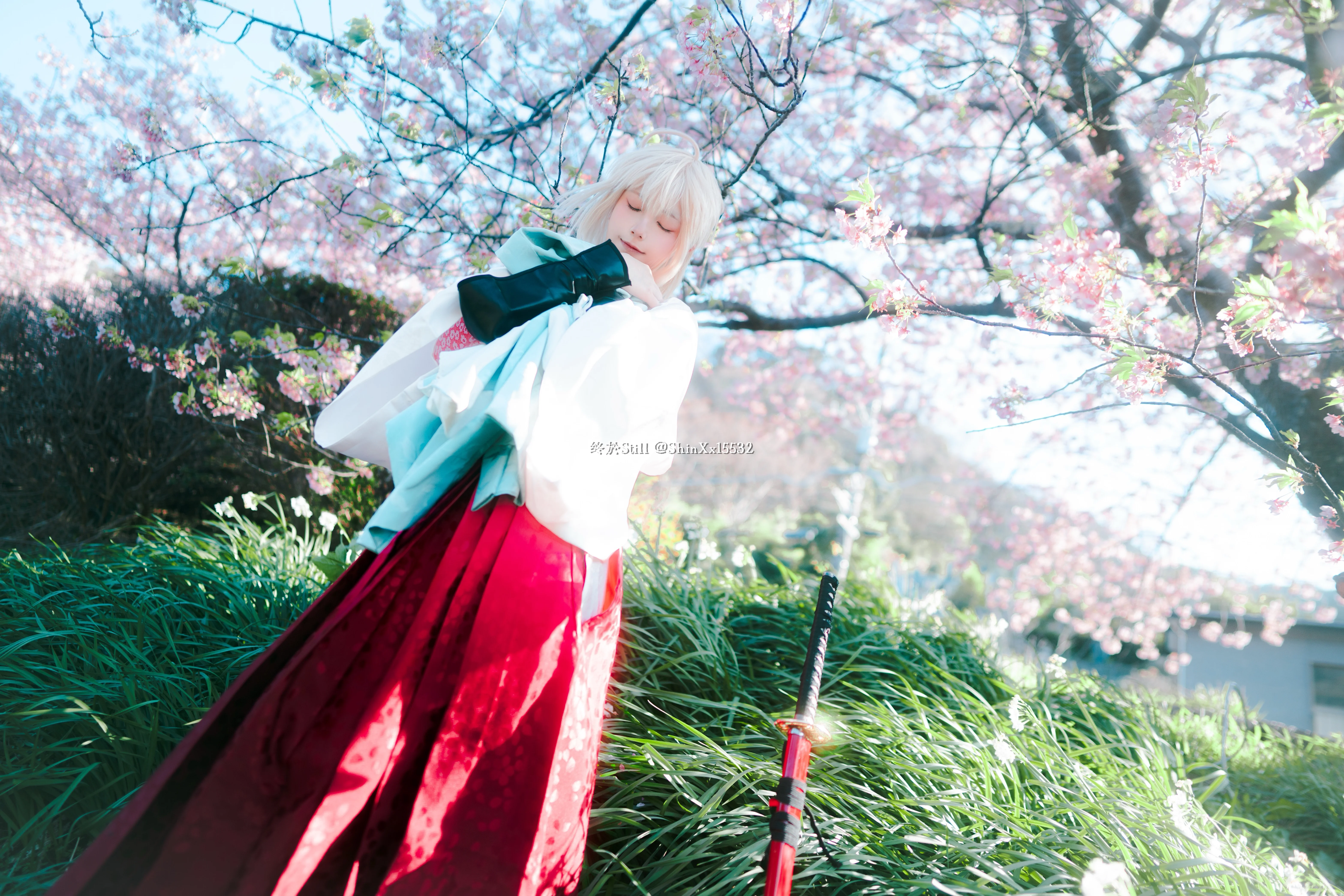[Okita Souji Cosplay] The Haori Has Finally Arrived, Chasing Dreams Under the Cherry Blossoms in Fate/Grand Order - Image 2