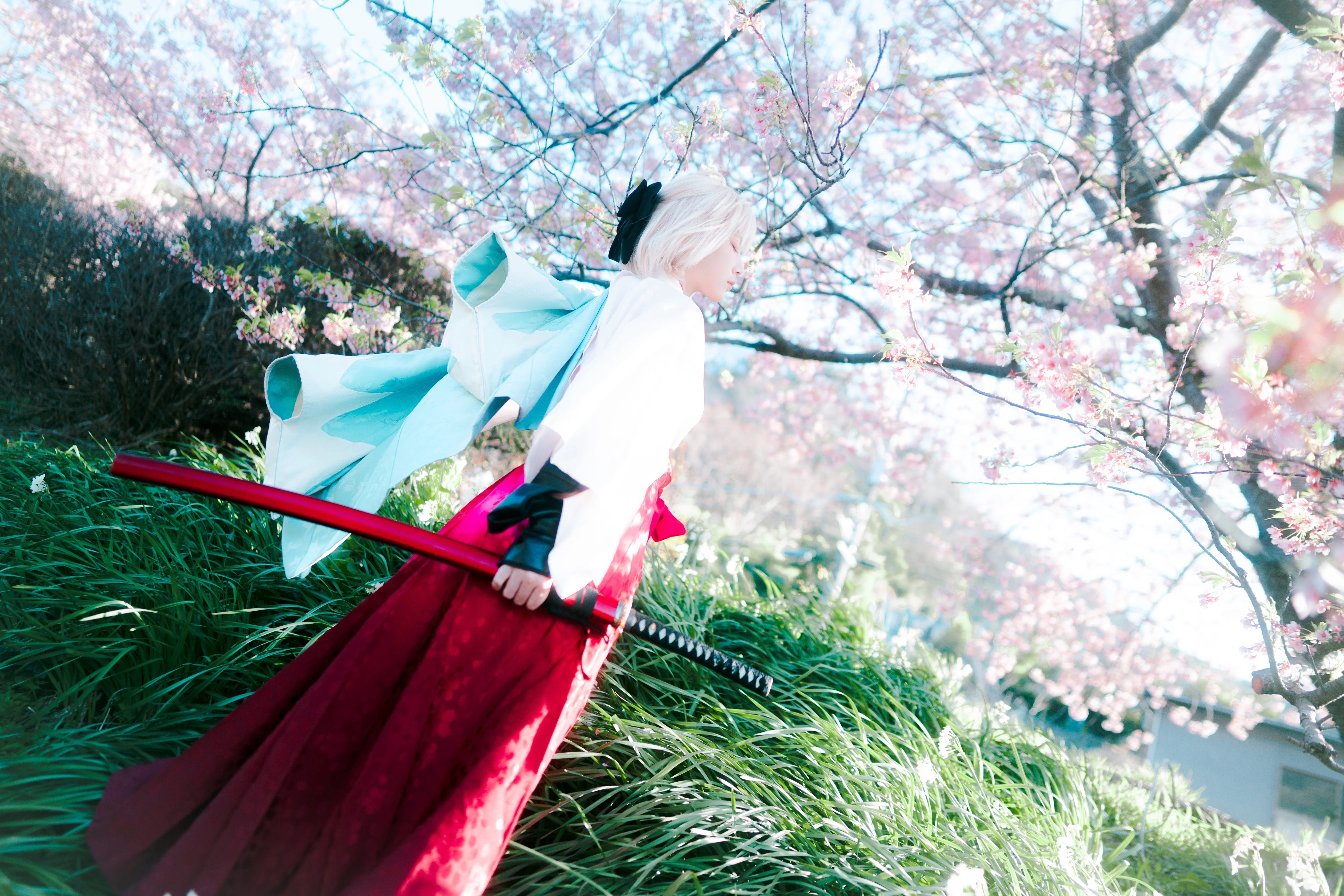 [Okita Souji Cosplay] The Haori Has Finally Arrived, Chasing Dreams Under the Cherry Blossoms in Fate/Grand Order - Image 3
