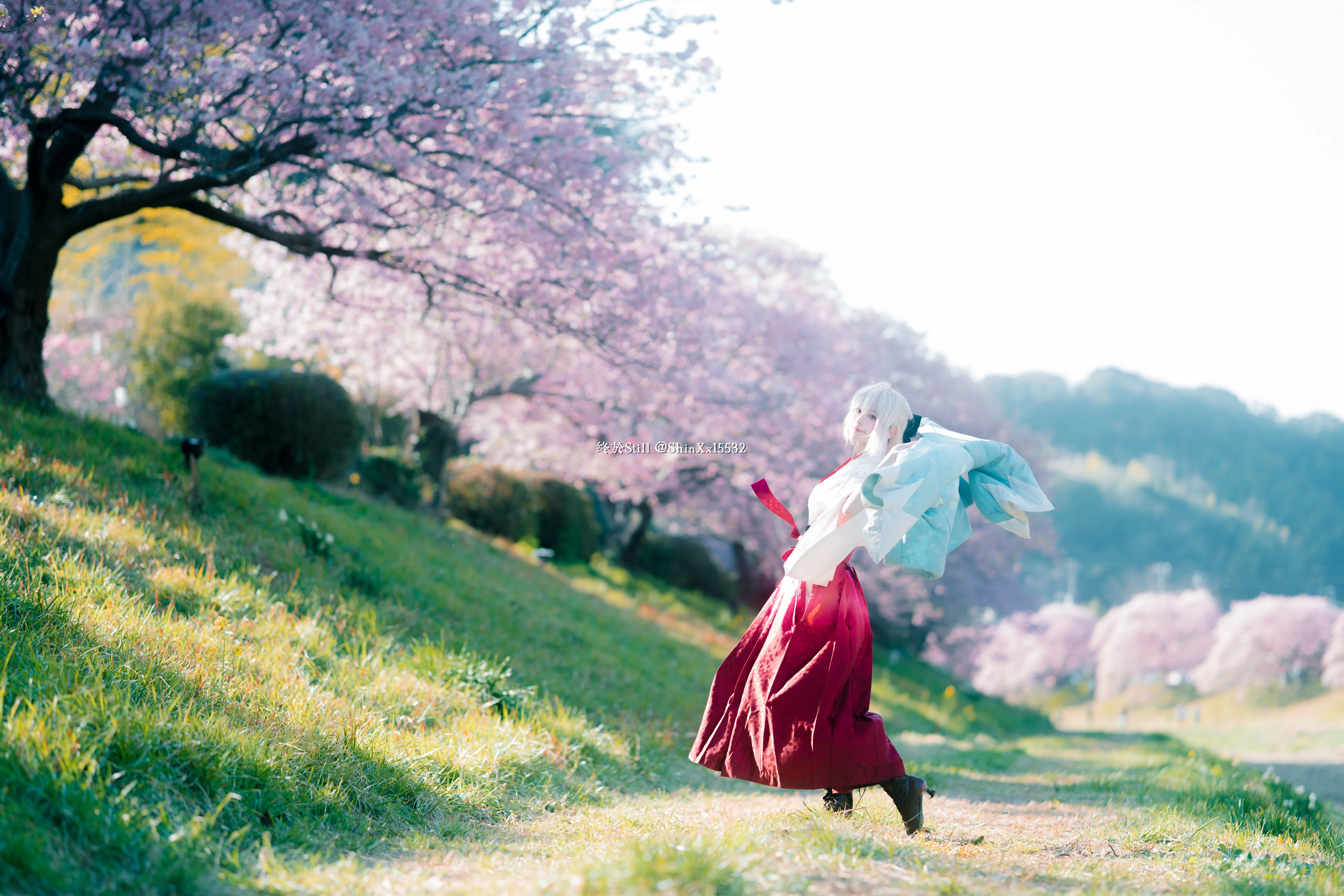 [Okita Souji Cosplay] The Haori Has Finally Arrived, Chasing Dreams Under the Cherry Blossoms in Fate/Grand Order - Image 7