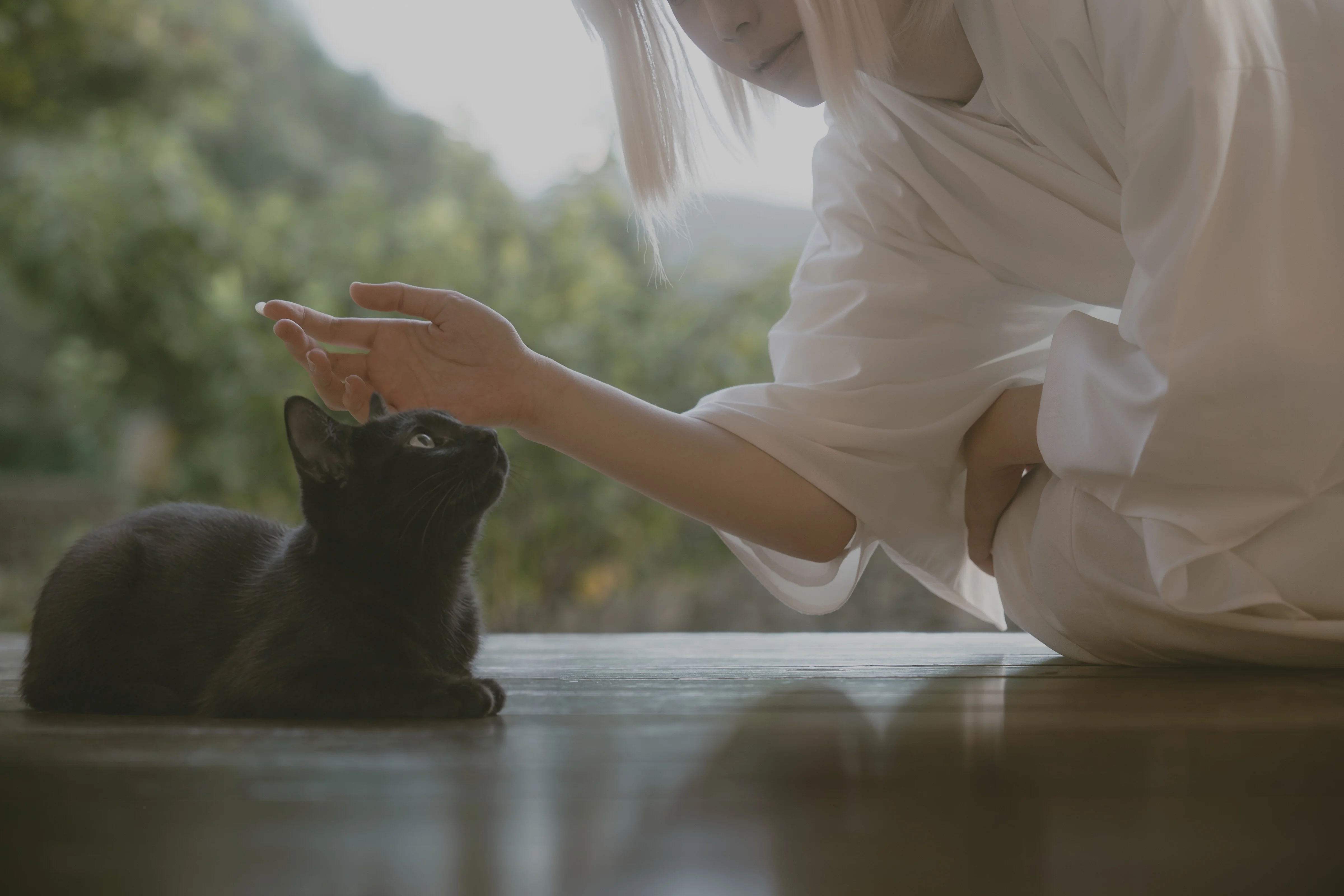 【沖田總司cos】薄暮庭院下，揮劍的瞬間。 - 第 17 張