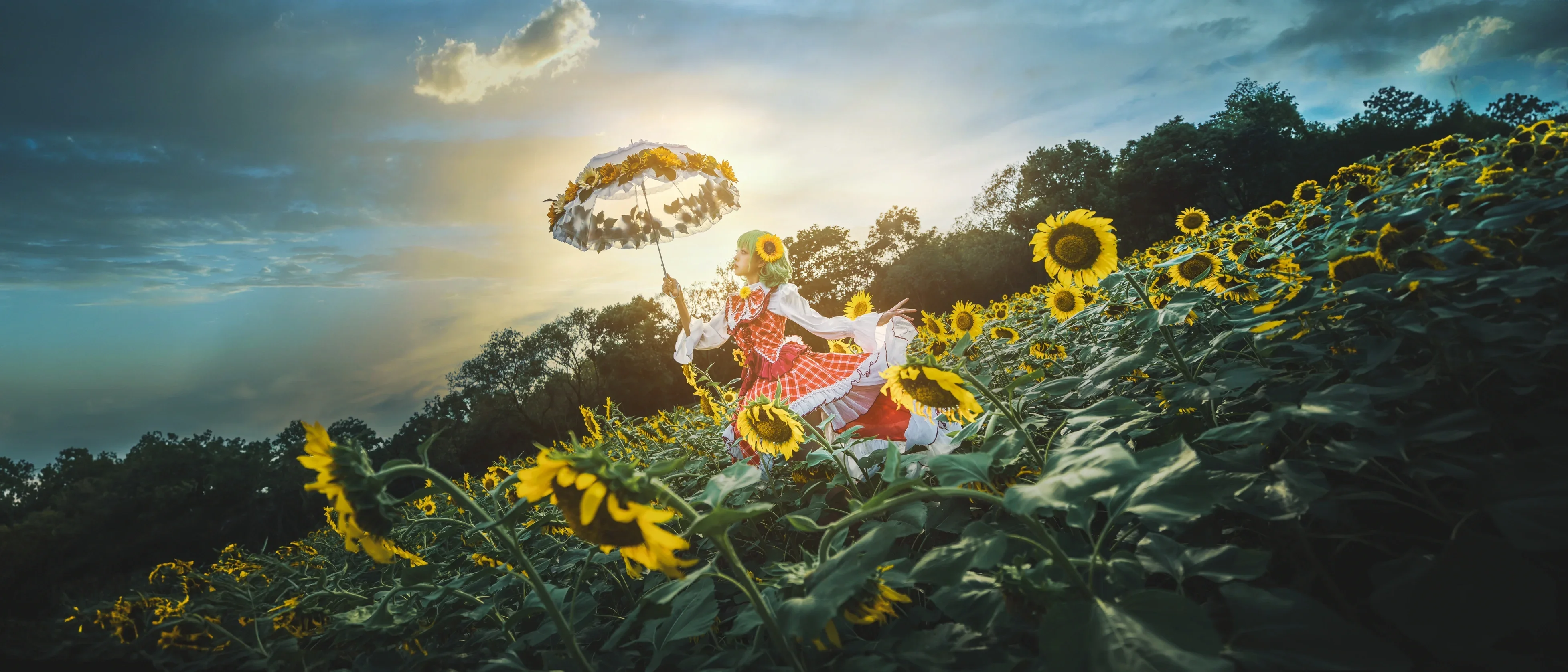 【風見幽香cos】東方project 向日葵花田裡的盛夏光影 - 第 2 張
