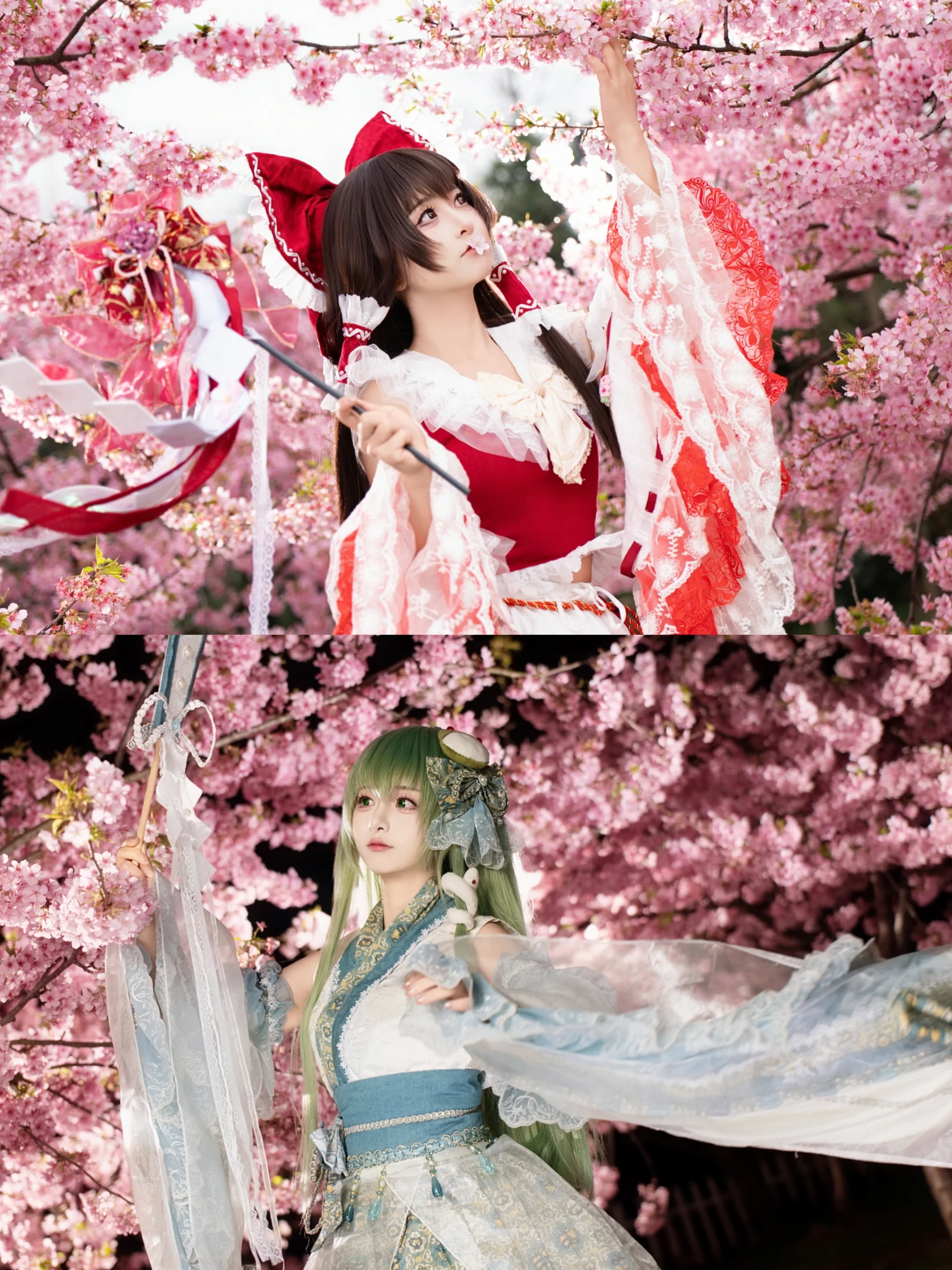 【博丽灵梦cos】东方project巫女组，樱花树下的红白与风祝