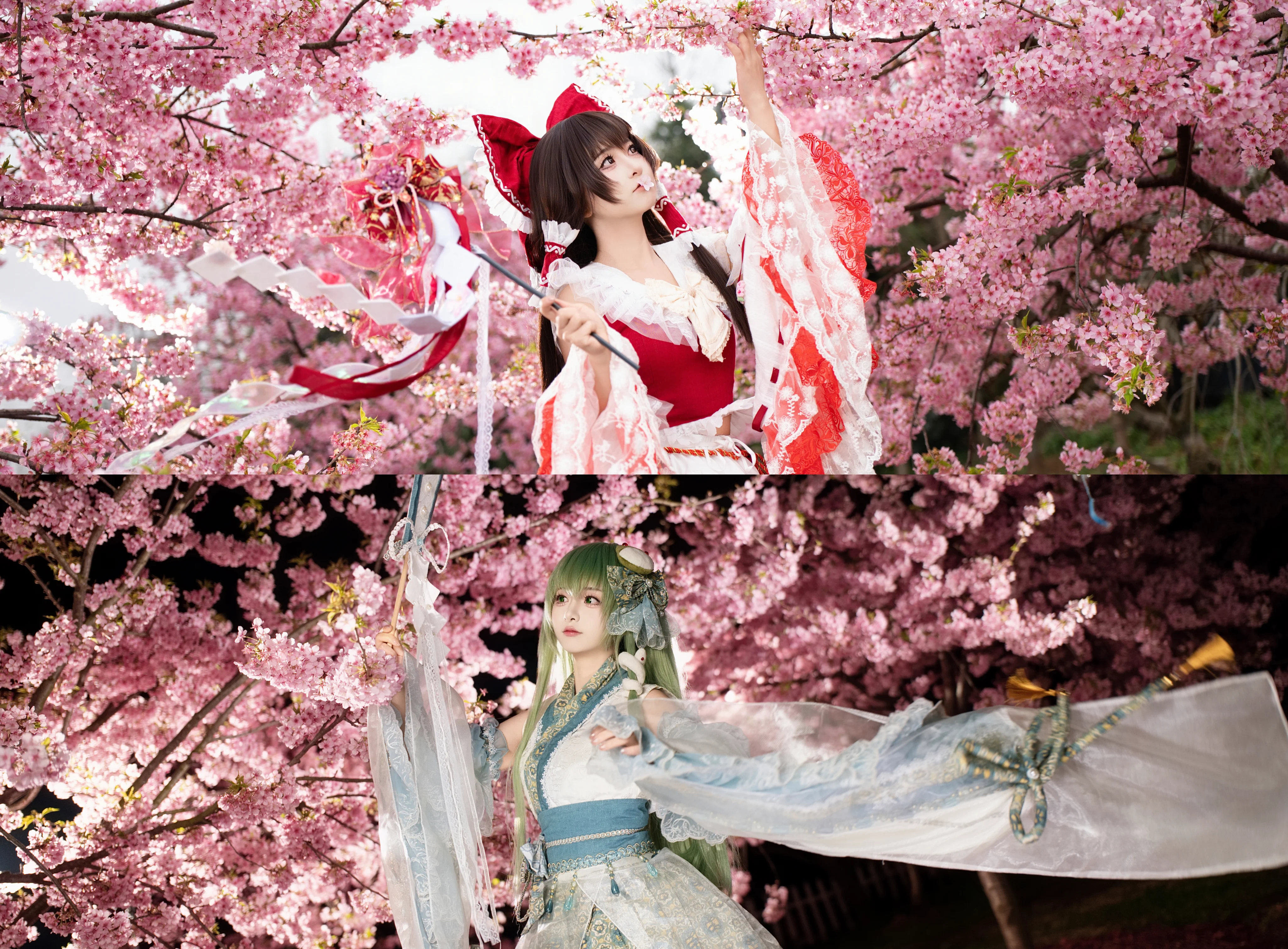 【博丽灵梦cos】东方project巫女组，樱花树下的红白与风祝 - 第 2 张