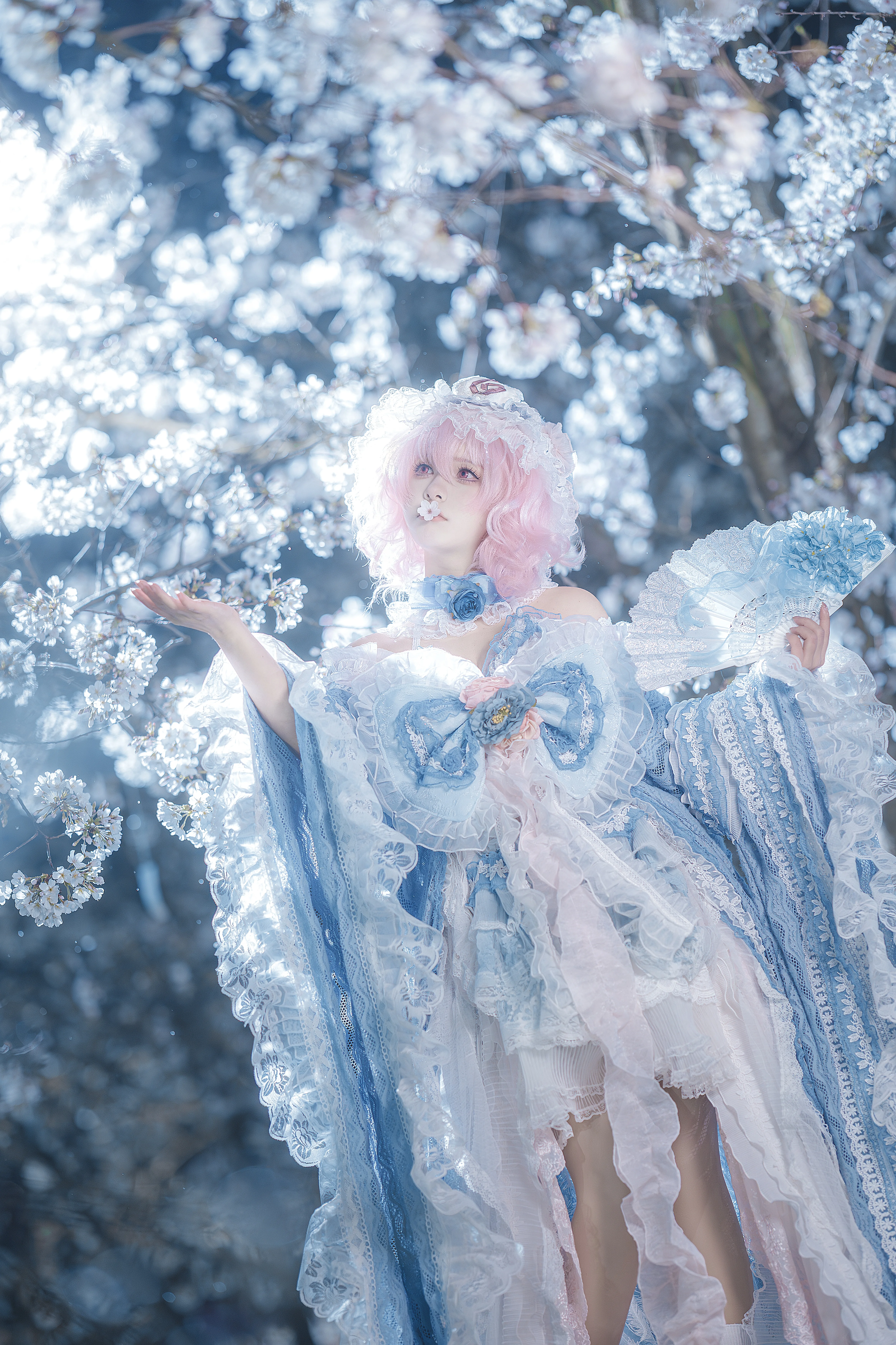 【西行寺幽幽子cos】白玉楼夜樱下的冷感幻梦