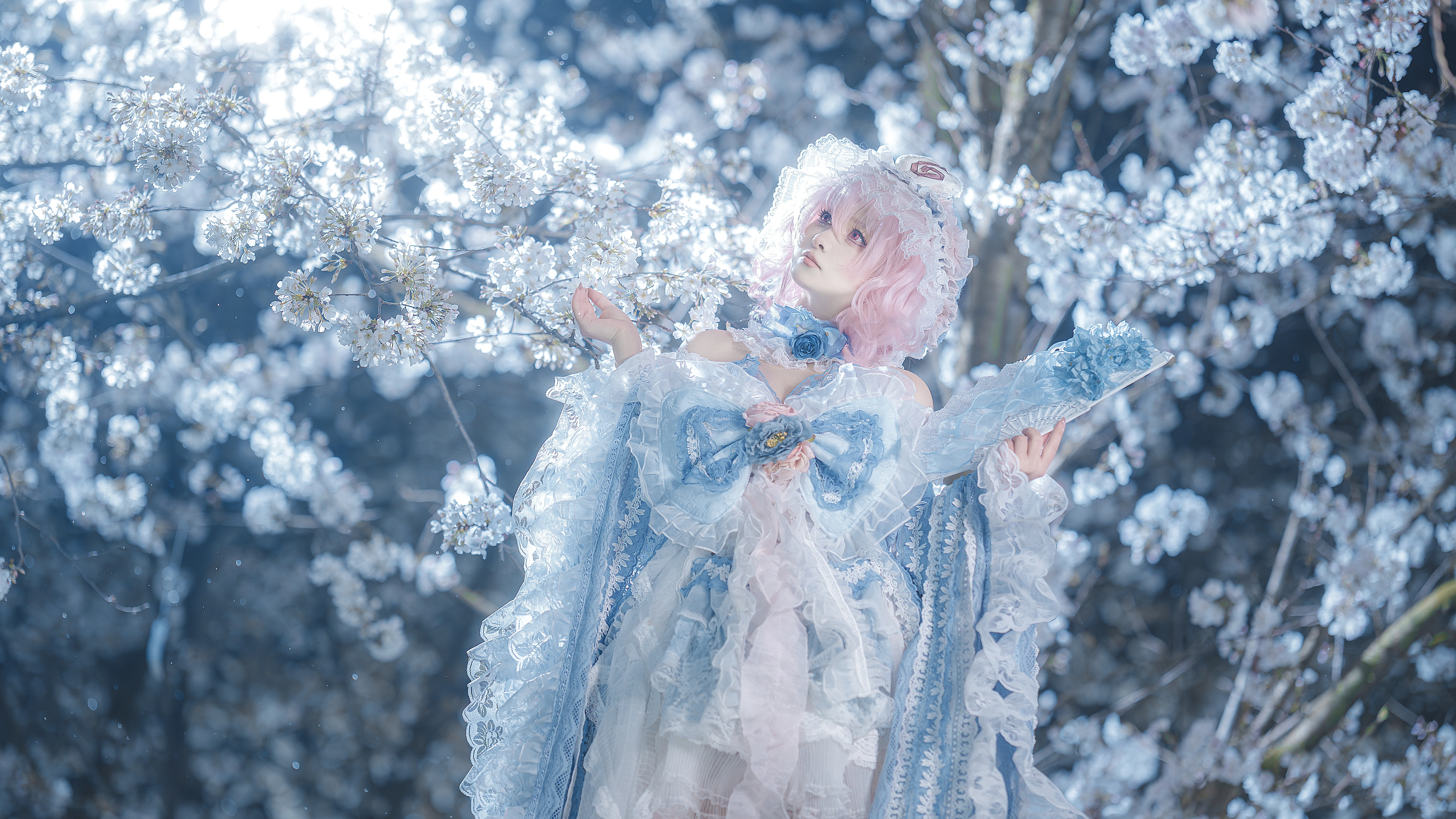 【西行寺幽幽子cos】白玉楼夜樱下的冷感幻梦 - 第 8 张