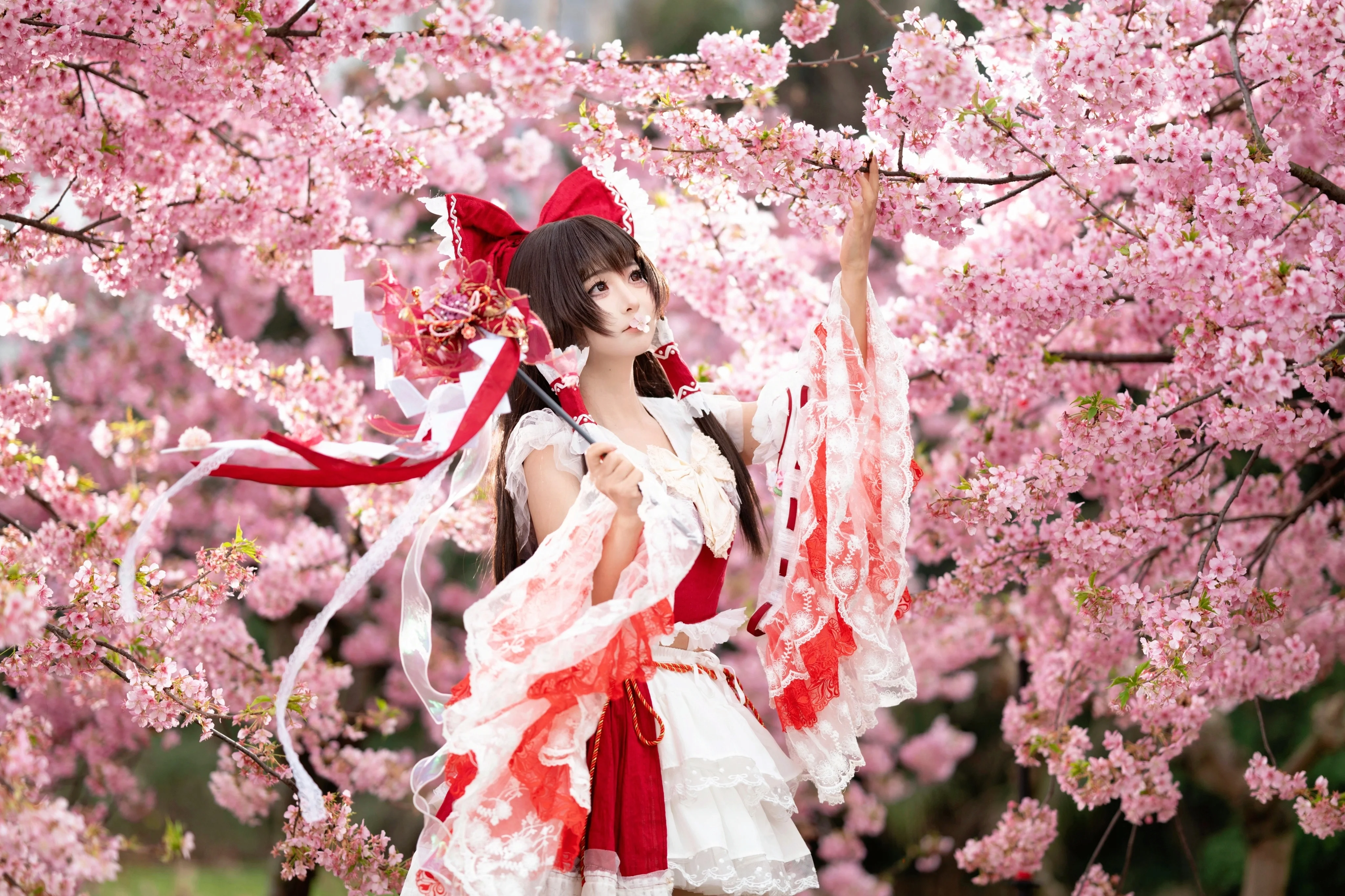 【博丽灵梦cos】东方Project的巫女，正片动作分享与参考 - 第 4 张