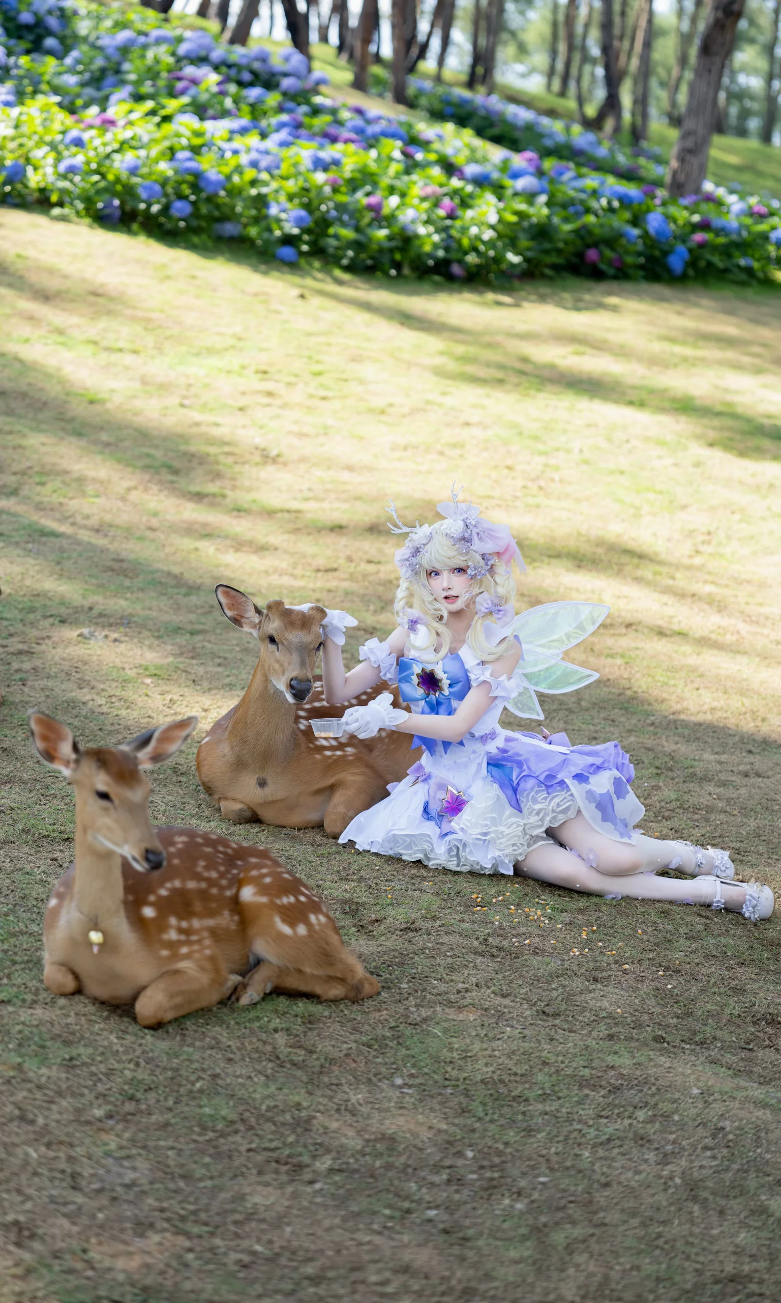 【精灵风cos】在蓝紫色绣球花海里的静谧时光 - 第 11 张