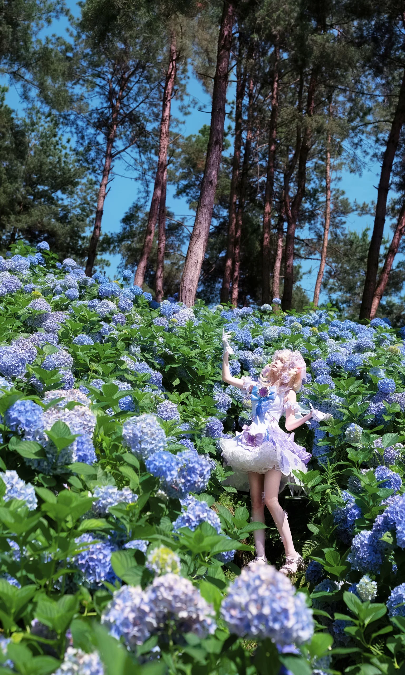 【精灵风cos】在蓝紫色绣球花海里的静谧时光 - 第 12 张