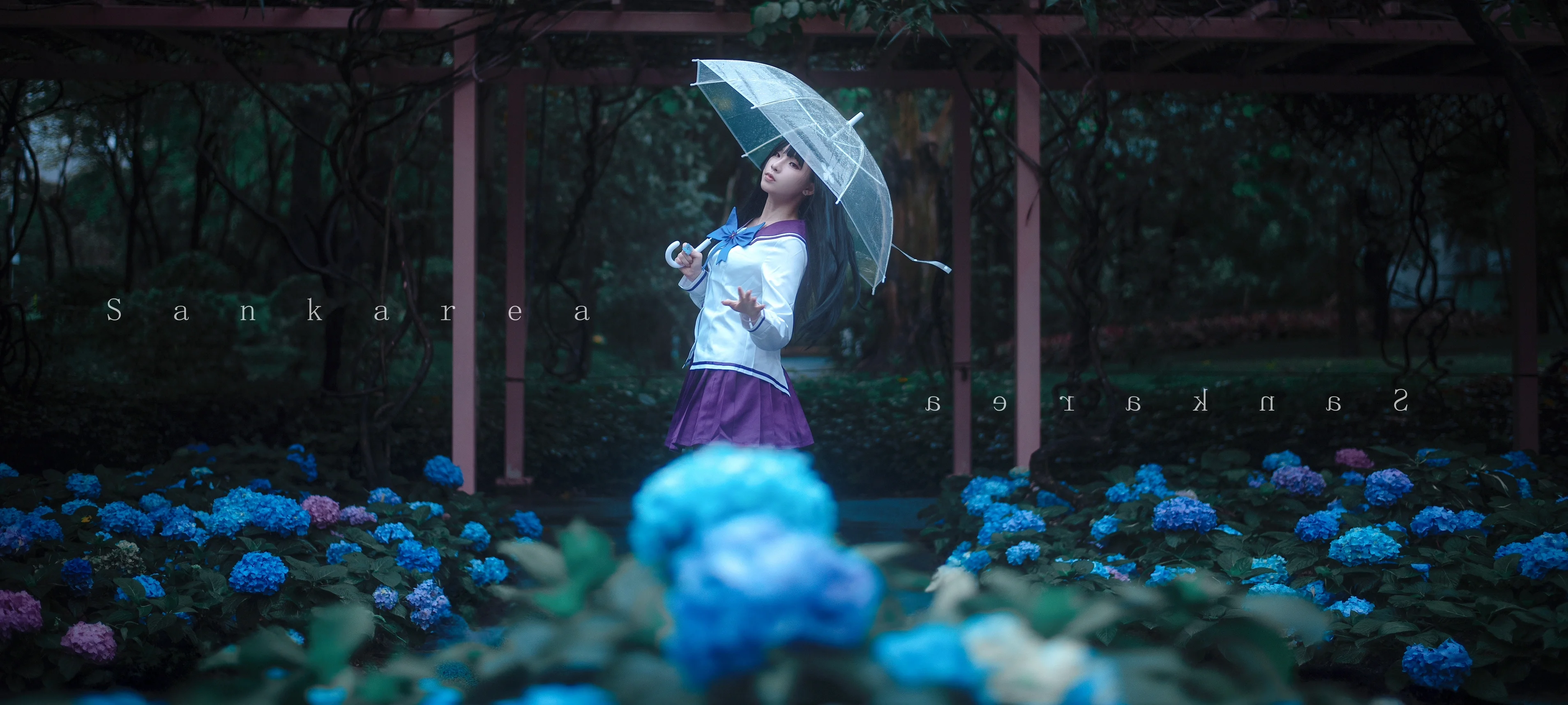 【散华礼弥cos】在绣球花与雨雾中复刻那份清冷与静谧 - 第 1 张