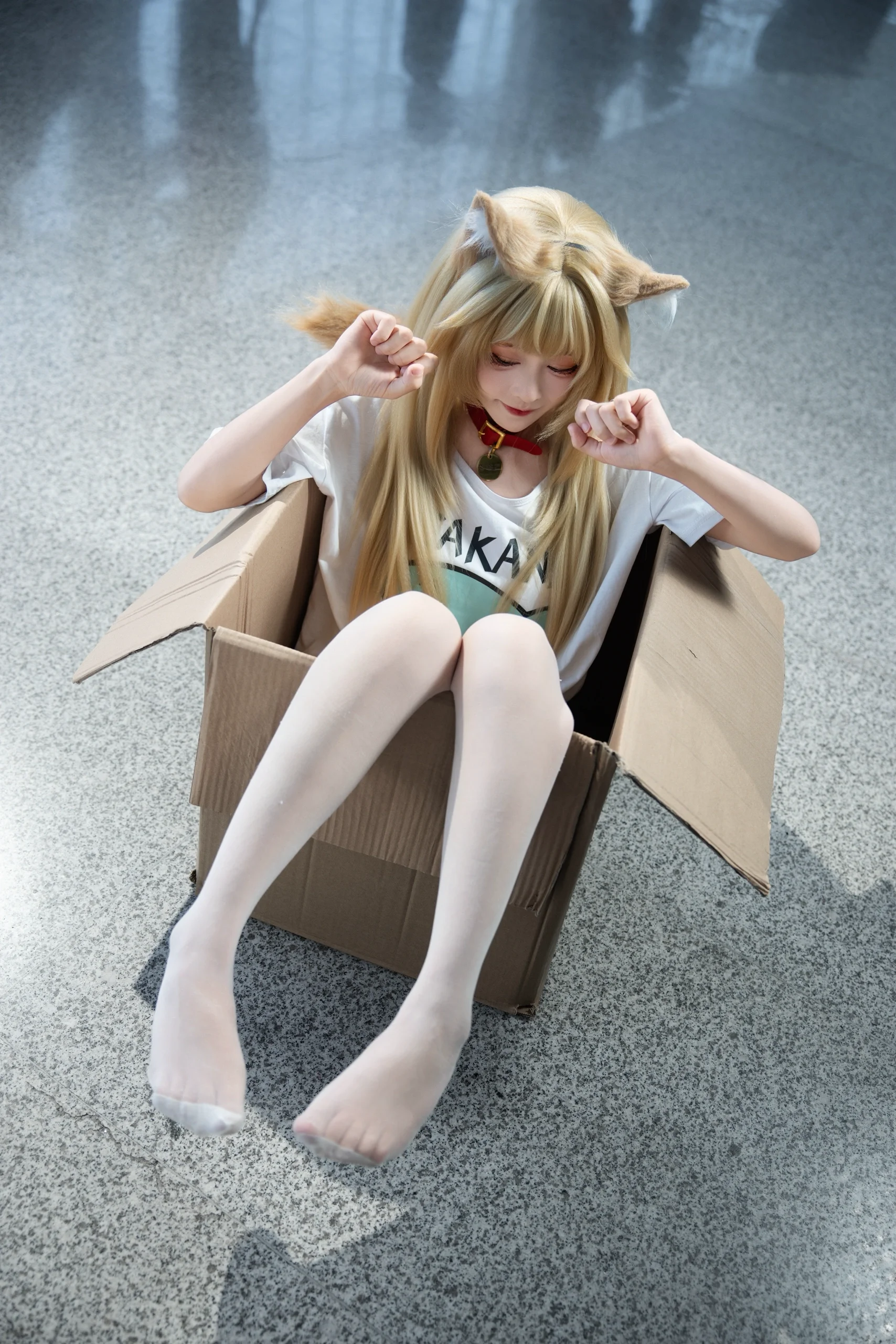 【黃豆粉貓娘cos】紙箱裡的歡樂時光，成都世界線場照分享 - 第 1 張