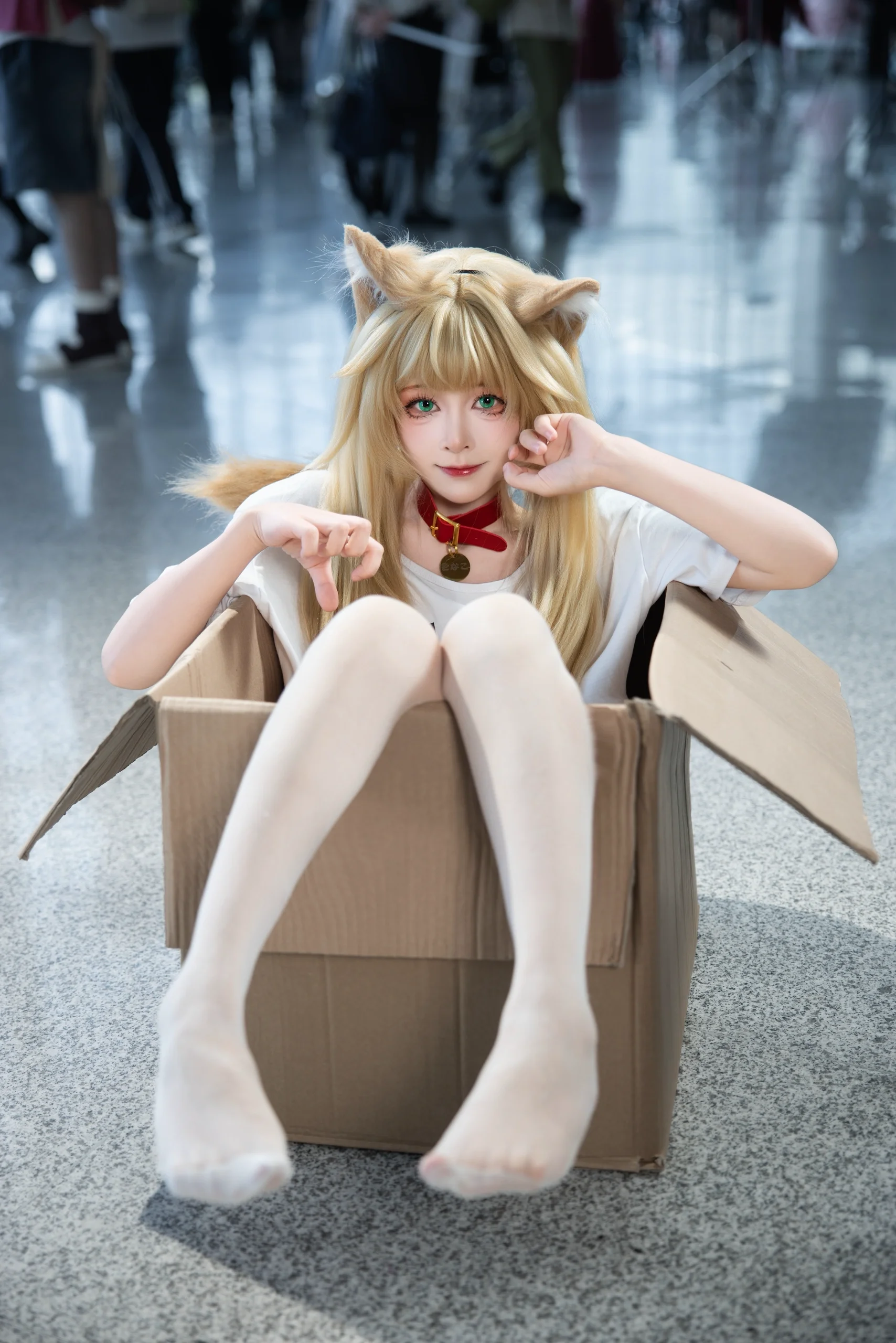 【黄豆粉猫娘cos】纸箱里的欢乐时光，成都世界线场照分享