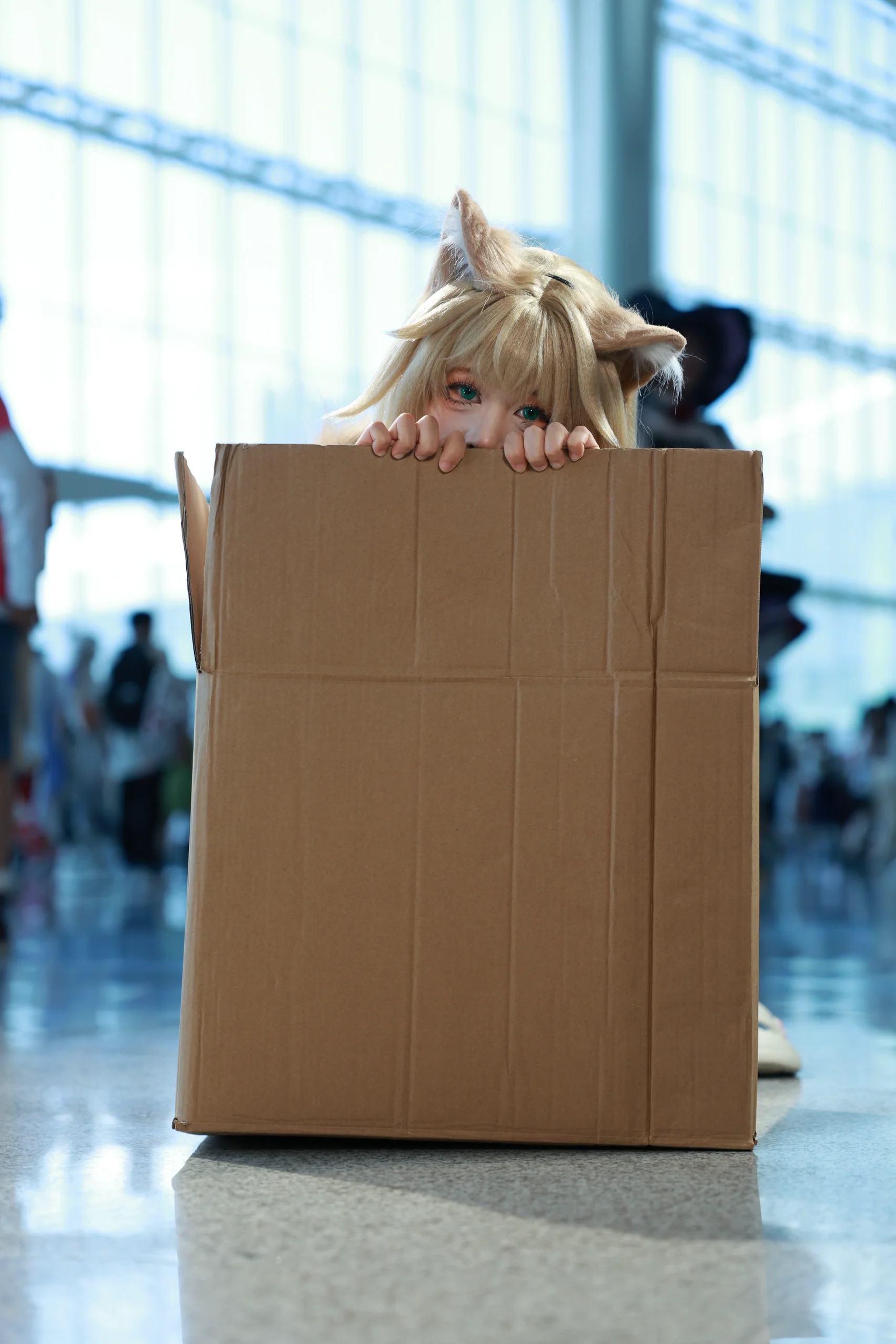 【黃豆粉貓娘cos】紙箱裡的歡樂時光，成都世界線場照分享 - 第 3 張