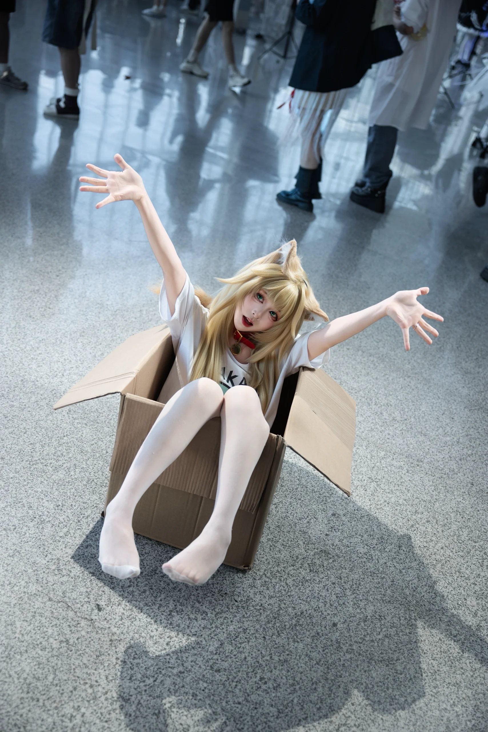 【黃豆粉貓娘cos】紙箱裡的歡樂時光，成都世界線場照分享 - 第 4 張