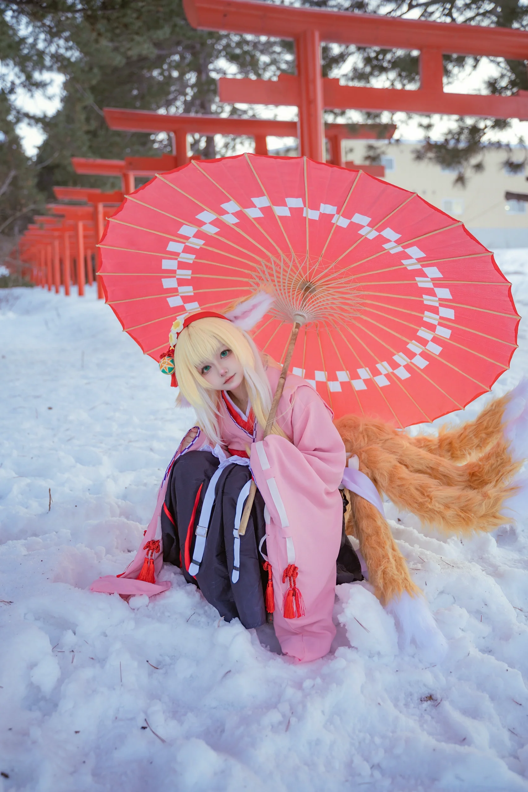 【铃兰cos】北海道雪地里的狐耳少女，明日方舟雪霁预告 - 第 1 张