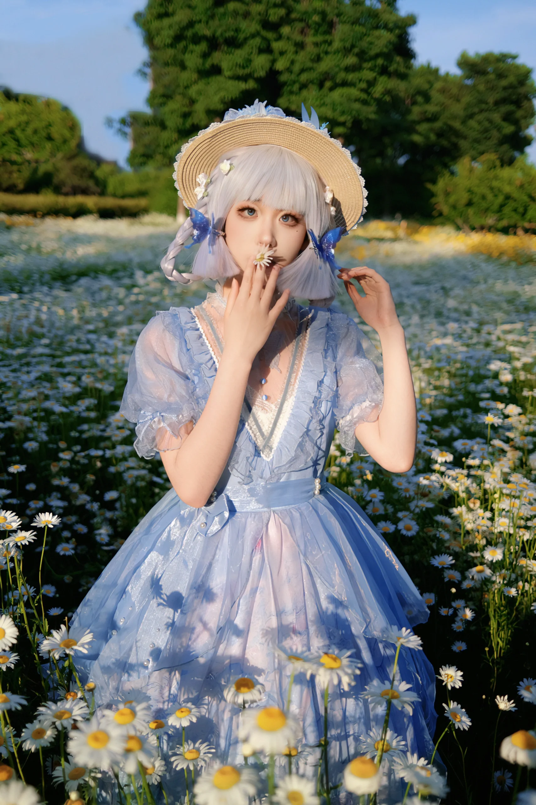 【神里绫华cos】原神自搭蓝裙，雏菊花海里的出片日常
