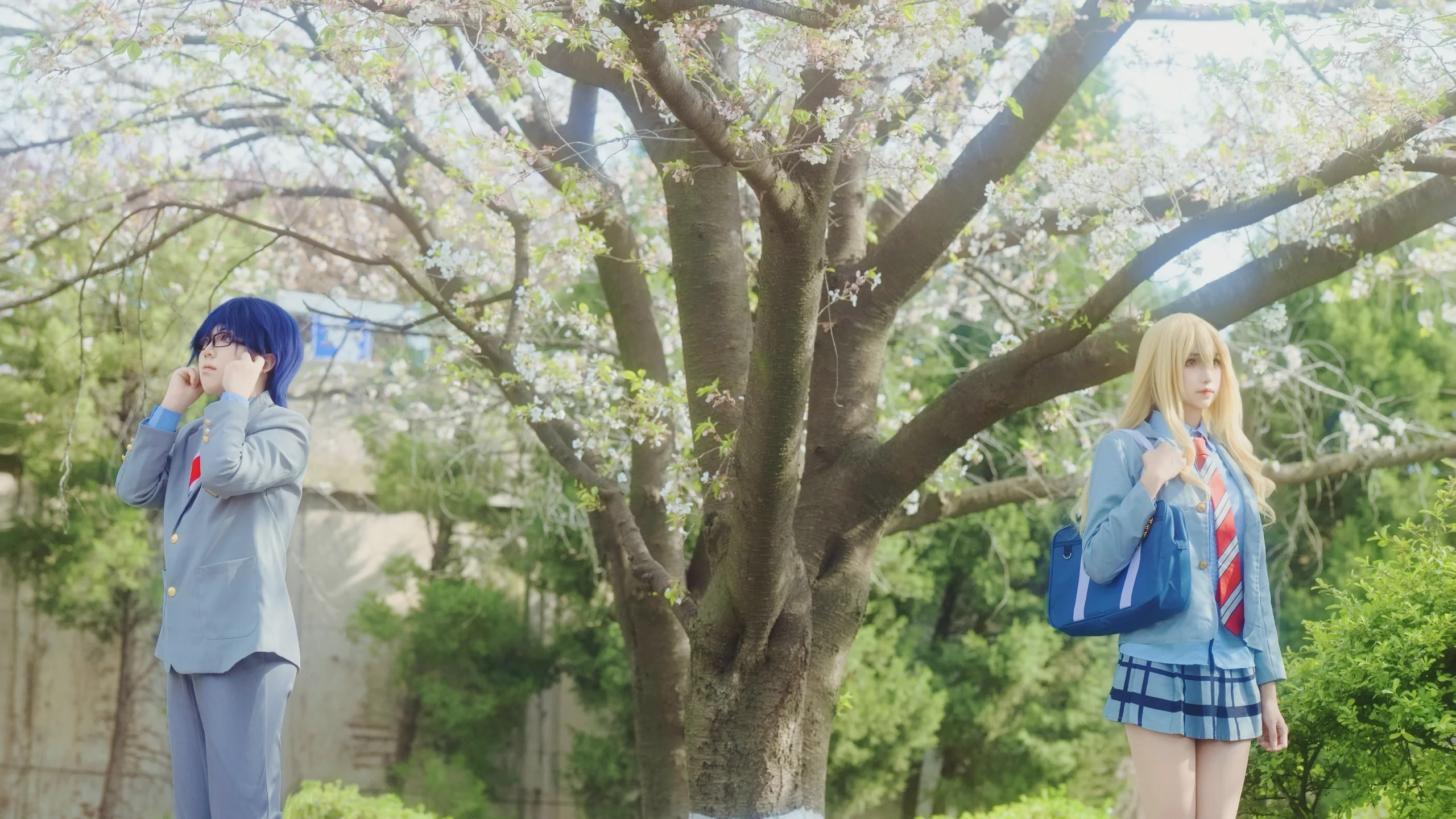 【宮園かをりコスプレ】四月は君の嘘、春の桜色の中での再現記録 - 2 枚目