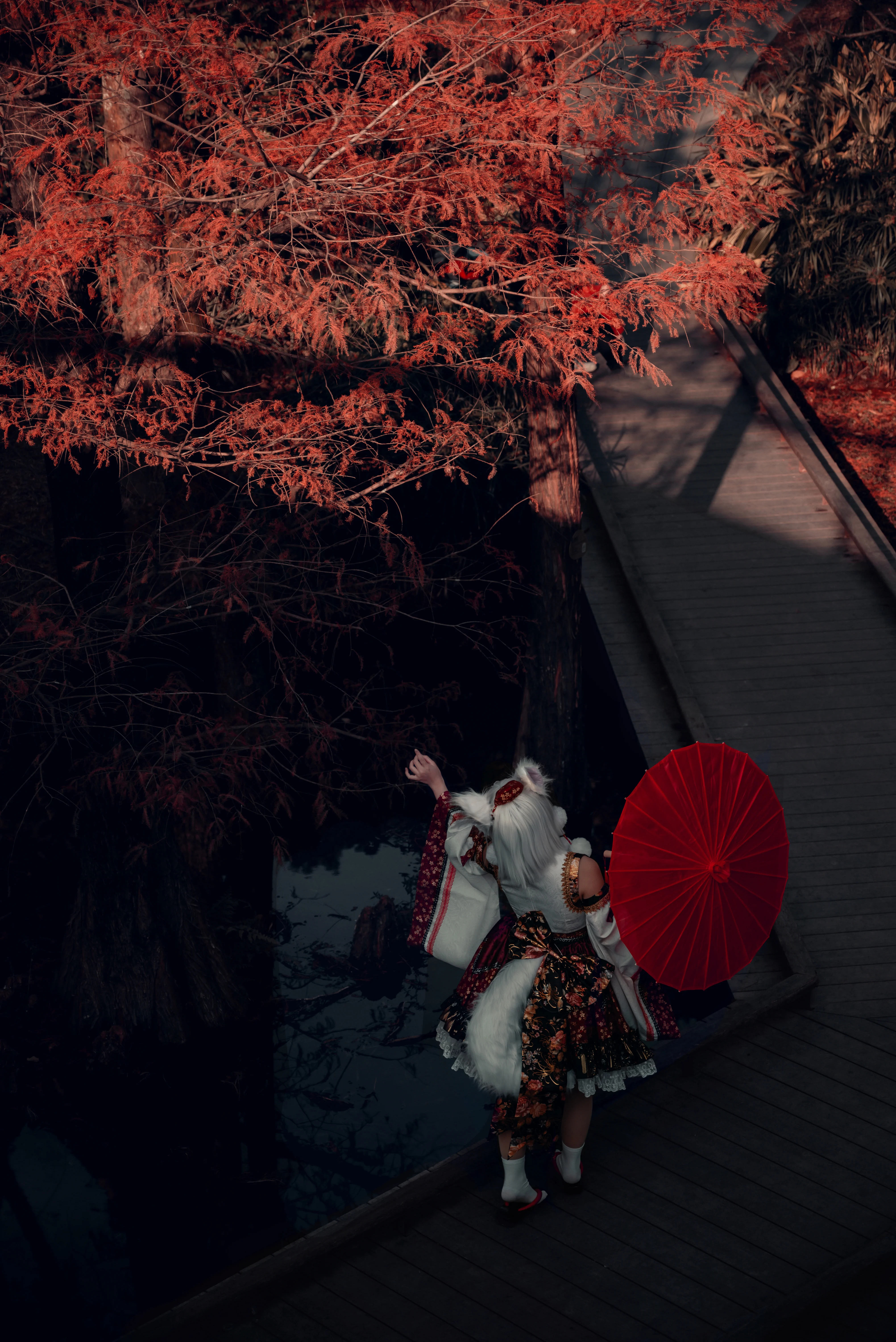 【犬走椛cos】秋林栈道上的百鬼夜行，东方project的静谧片段 - 第 7 张