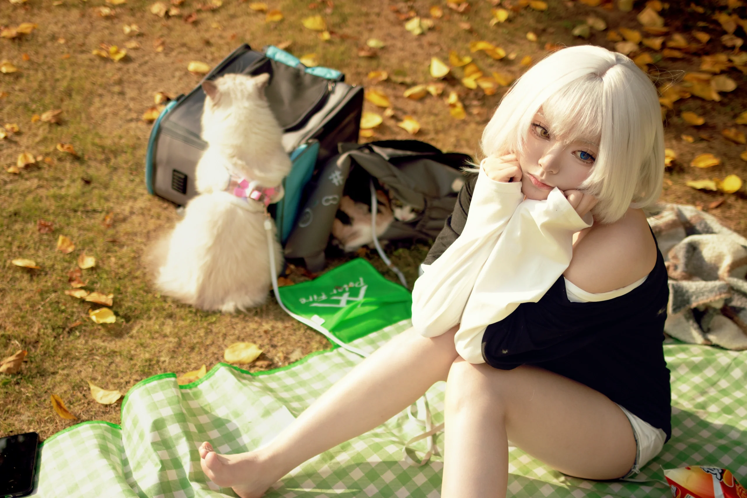 【要楽奈コスプレ】秋のピクニックと猫、MyGO!!!!!秋の野外撮影コスプレ写真