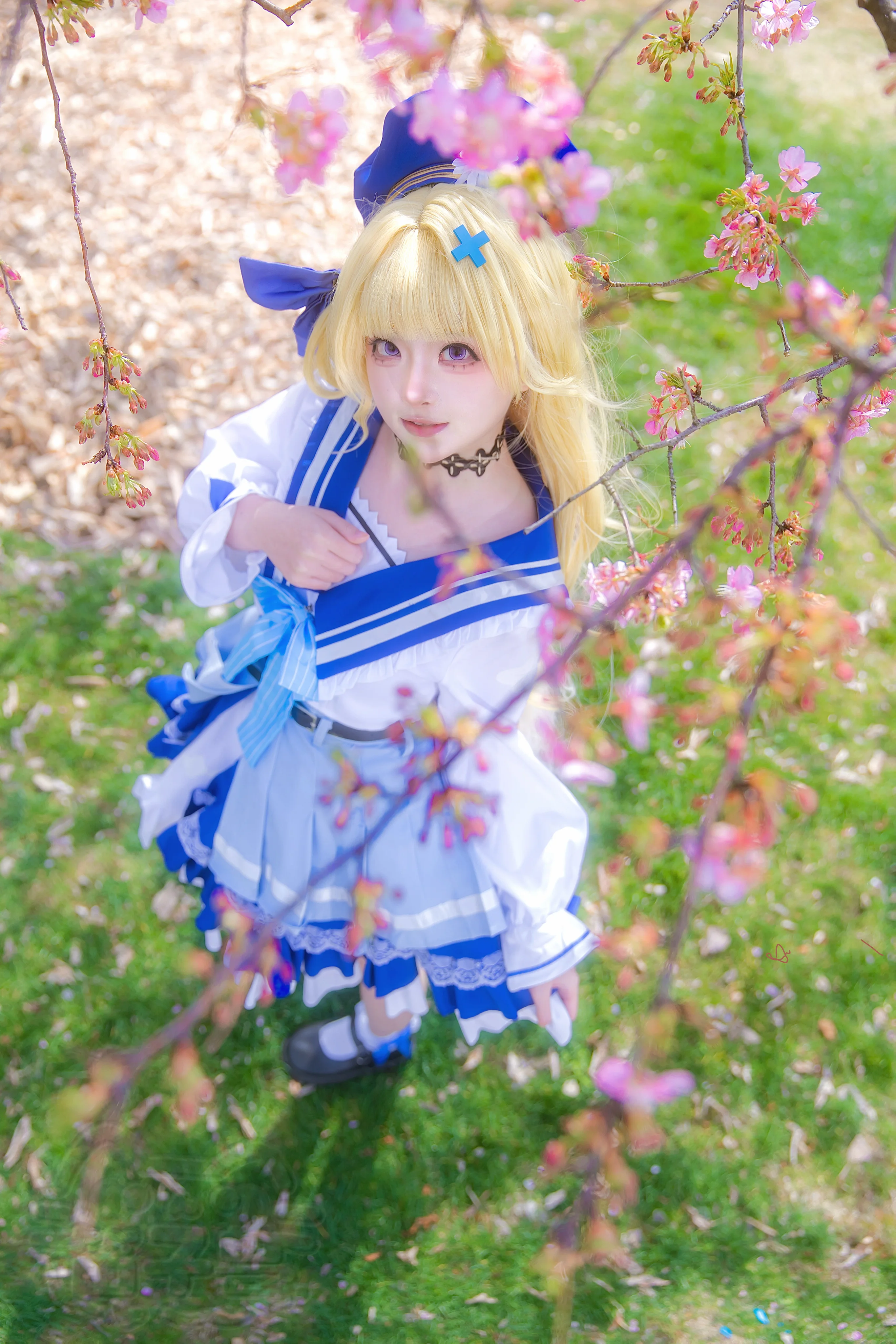 【菲比cos】鸣潮里的蓝白水手服少女，早樱下的温柔片刻 - 第 2 张