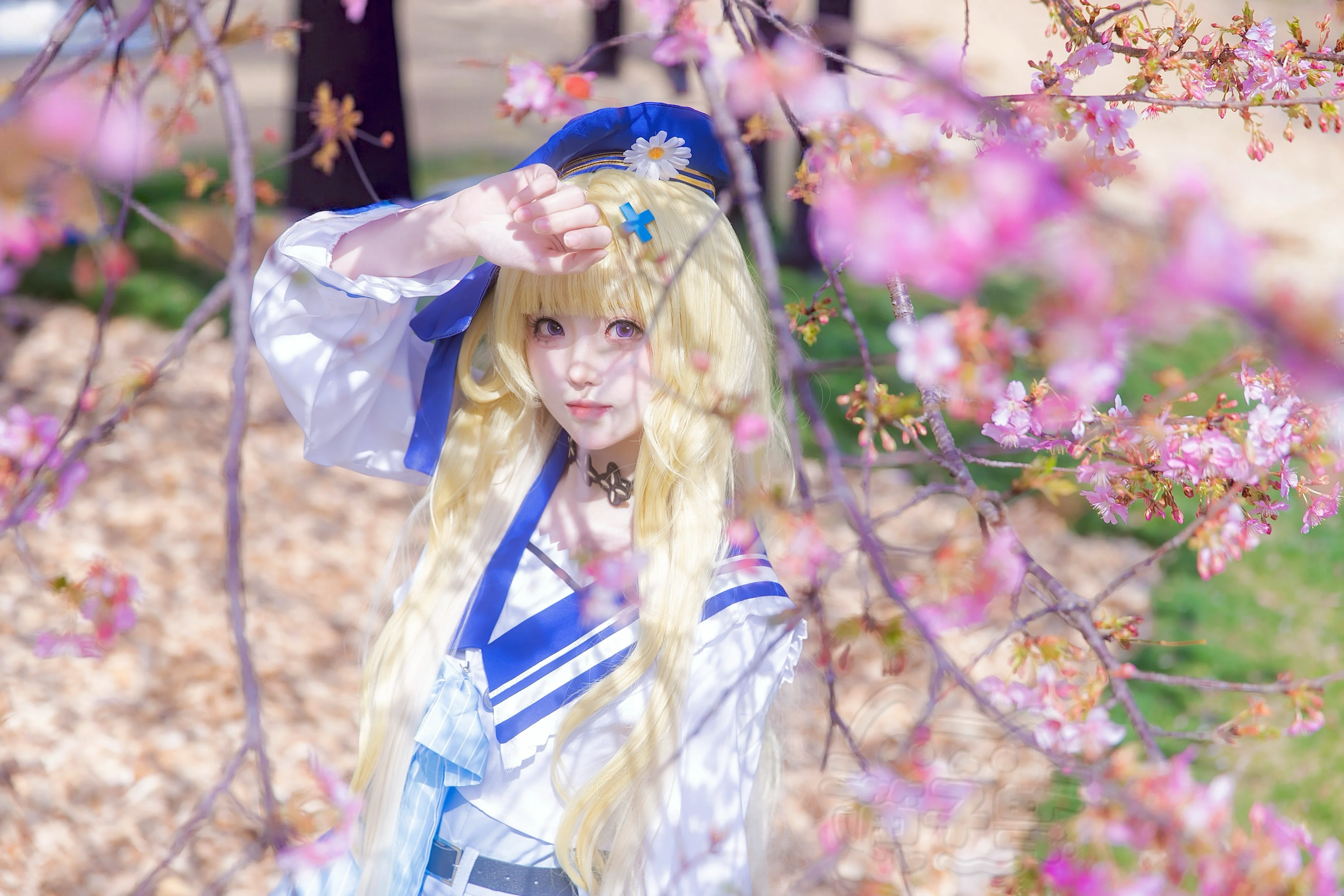 【菲比cos】鸣潮里的蓝白水手服少女，早樱下的温柔片刻 - 第 4 张