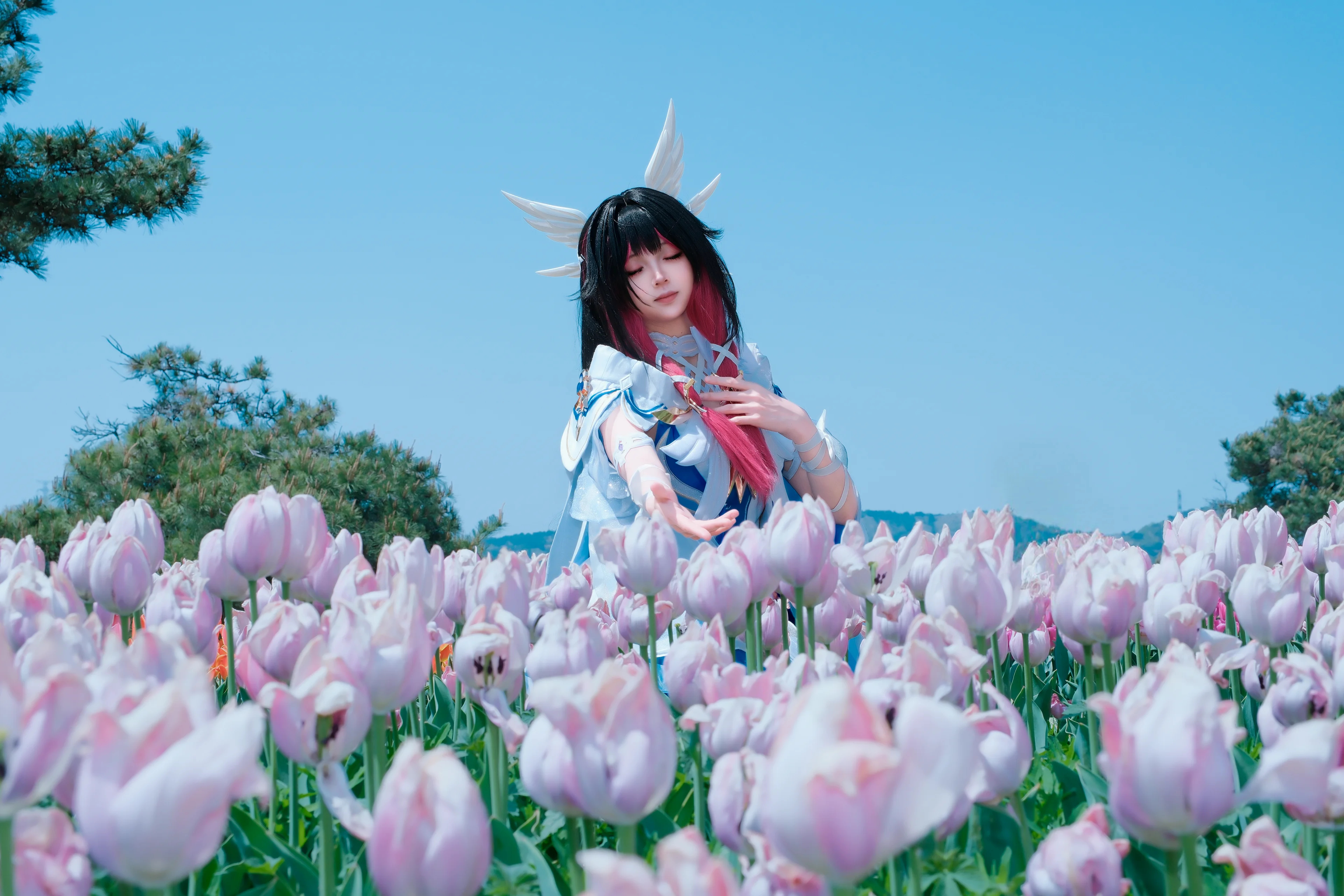 【コロンビーナ コスプレ】大連英歌石植物園の春風が織りなす夢幻のチューリップ畑 - 3 枚目