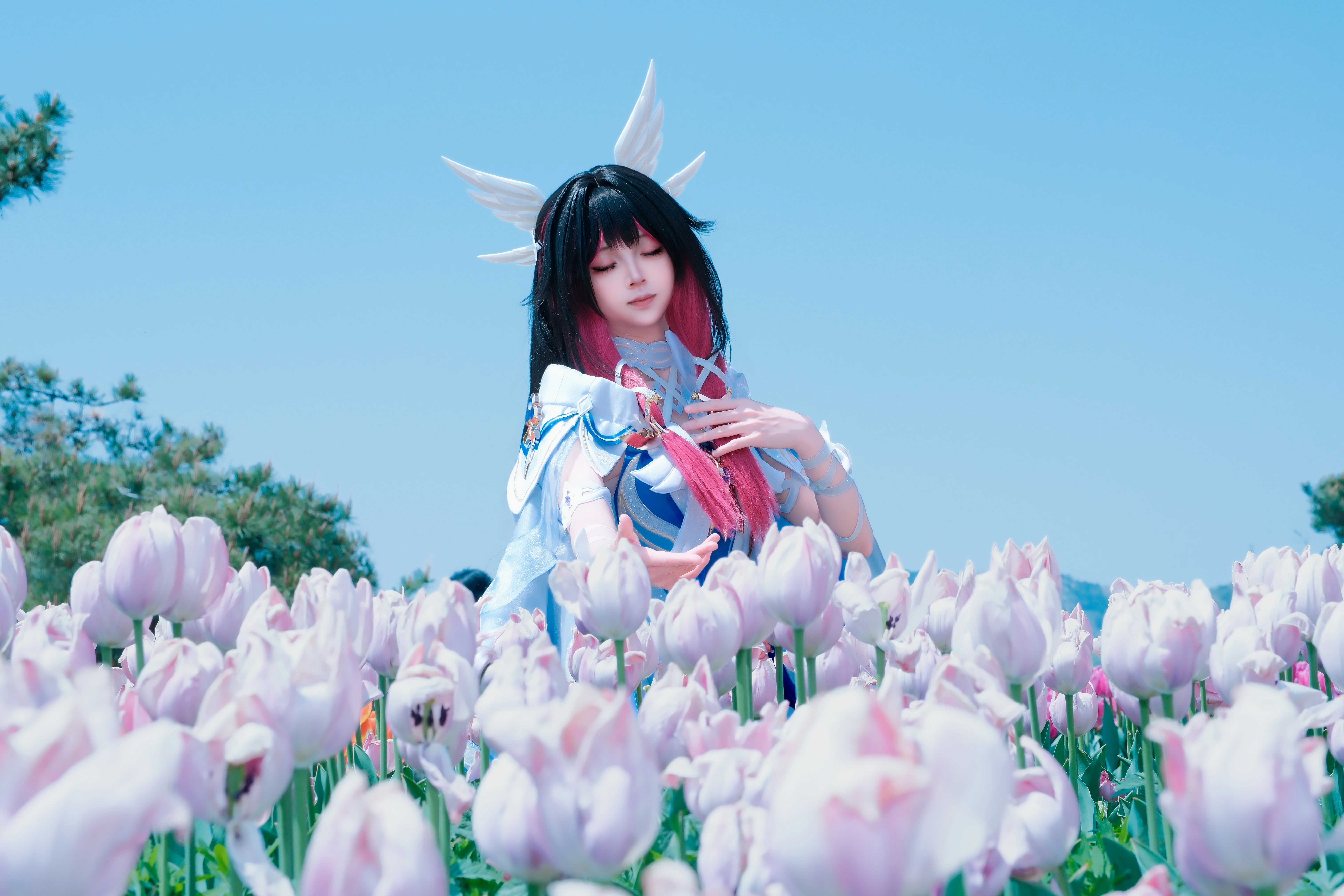 【コロンビーナ コスプレ】大連英歌石植物園の春風が織りなす夢幻のチューリップ畑 - 4 枚目