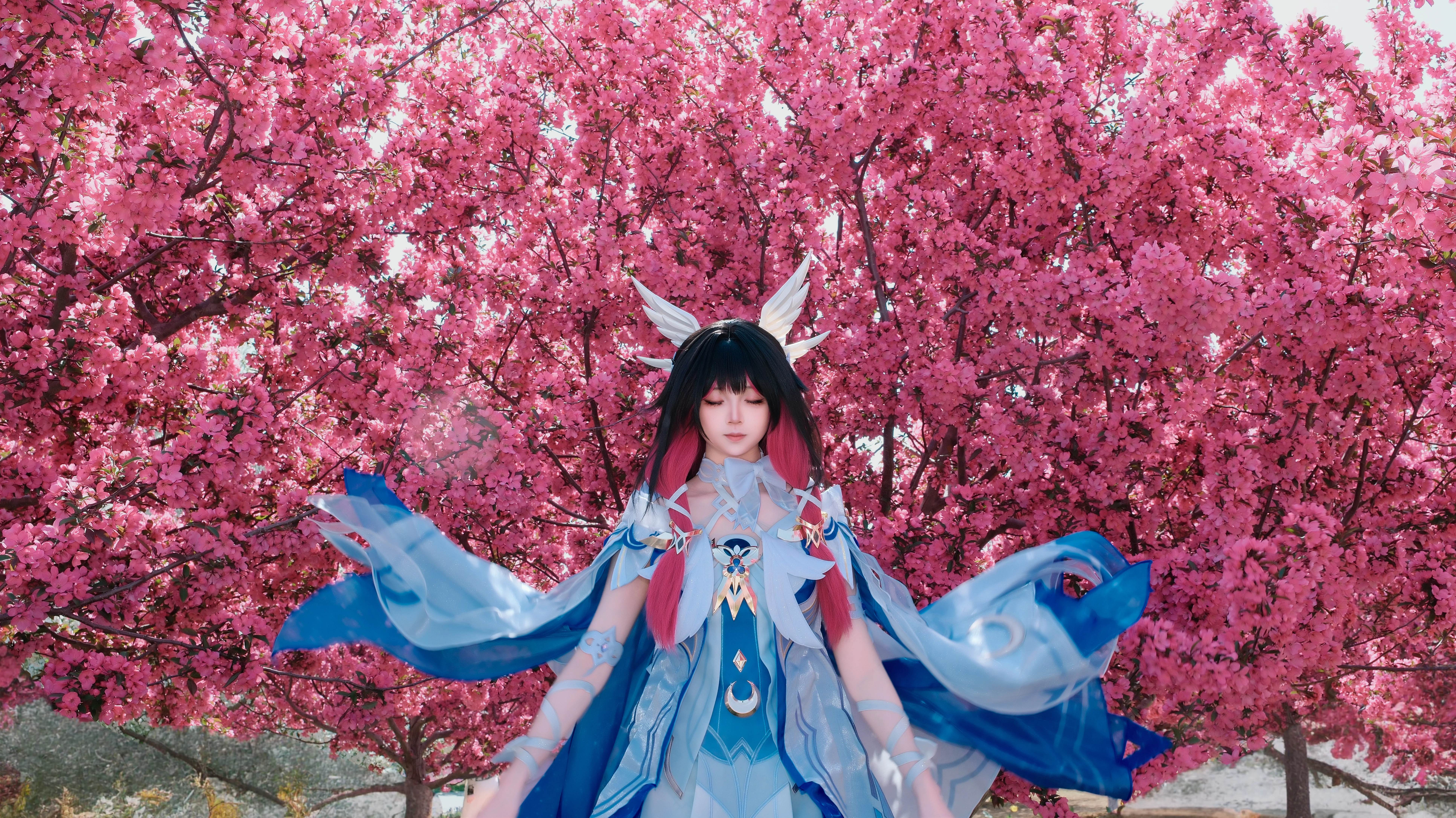【コロンビーナ コスプレ】百花繚乱と光影の中で出会う、青白き羽翼 - 1 枚目
