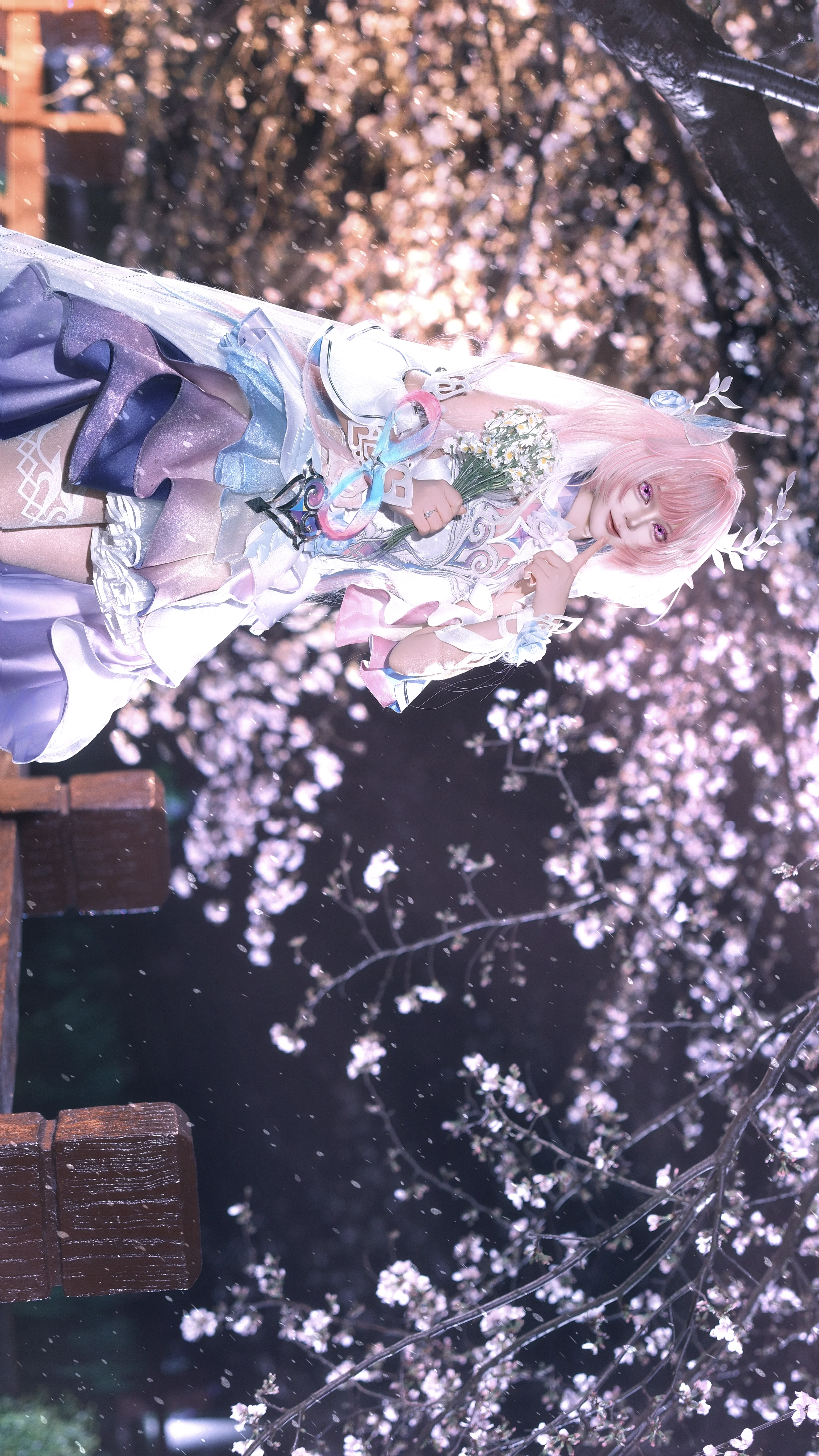 【昔涟cos】崩坏星穹铁道落樱夜里的梦幻定格 - 第 1 张