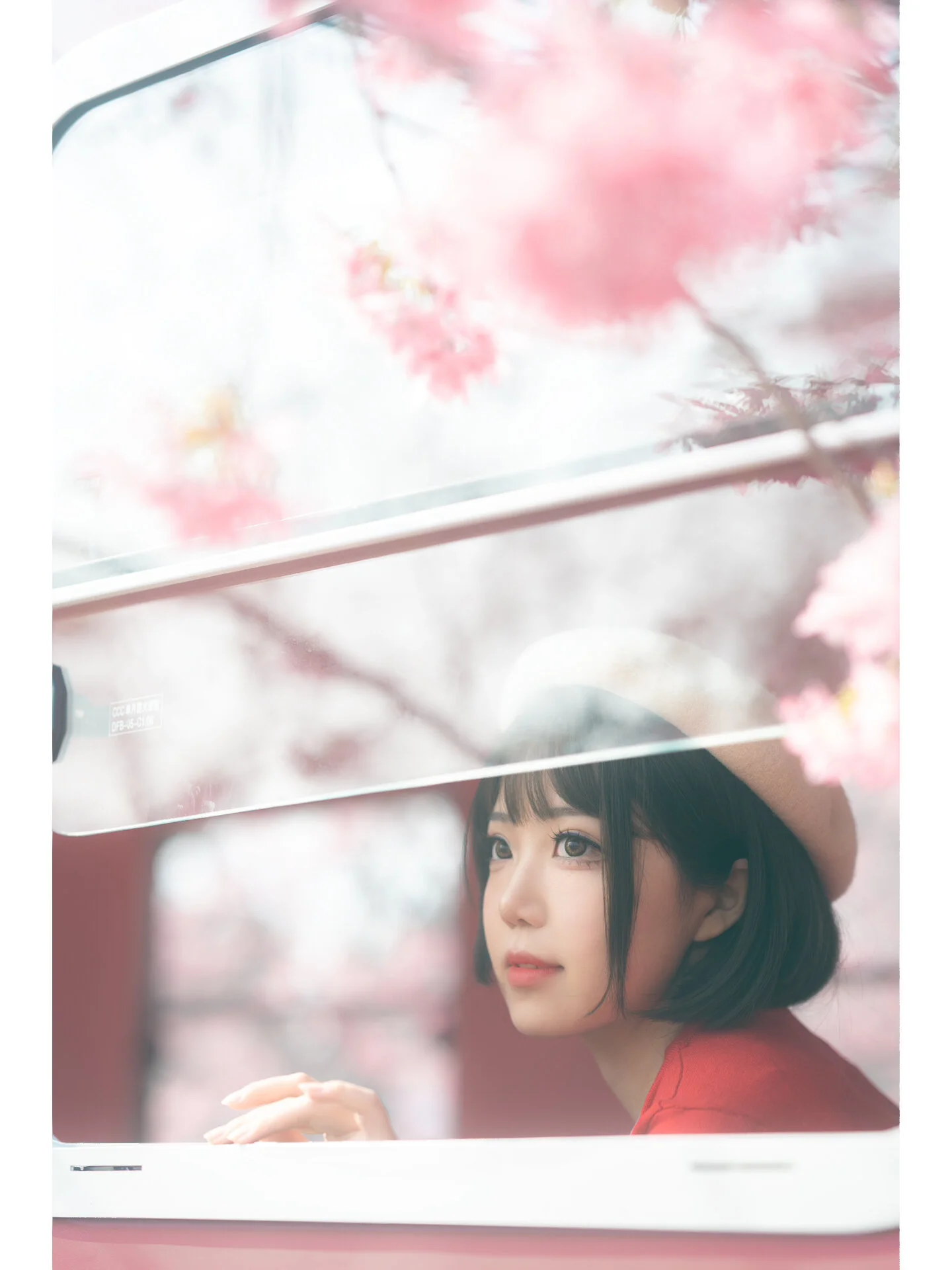 【加藤惠cos】漫花庄园的春日樱花，再现路人女主的风采 - 第 1 张