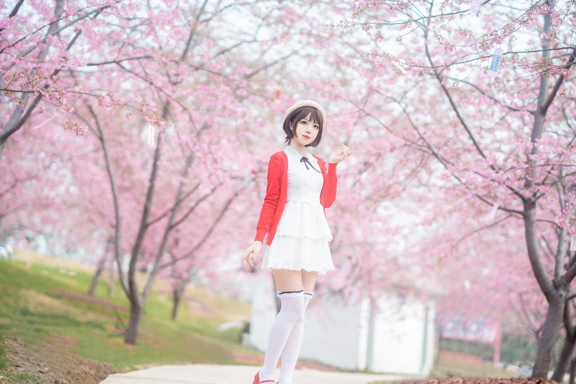 【加藤惠cos】漫花庄园的春日樱花，再现路人女主的风采 - 第 16 张