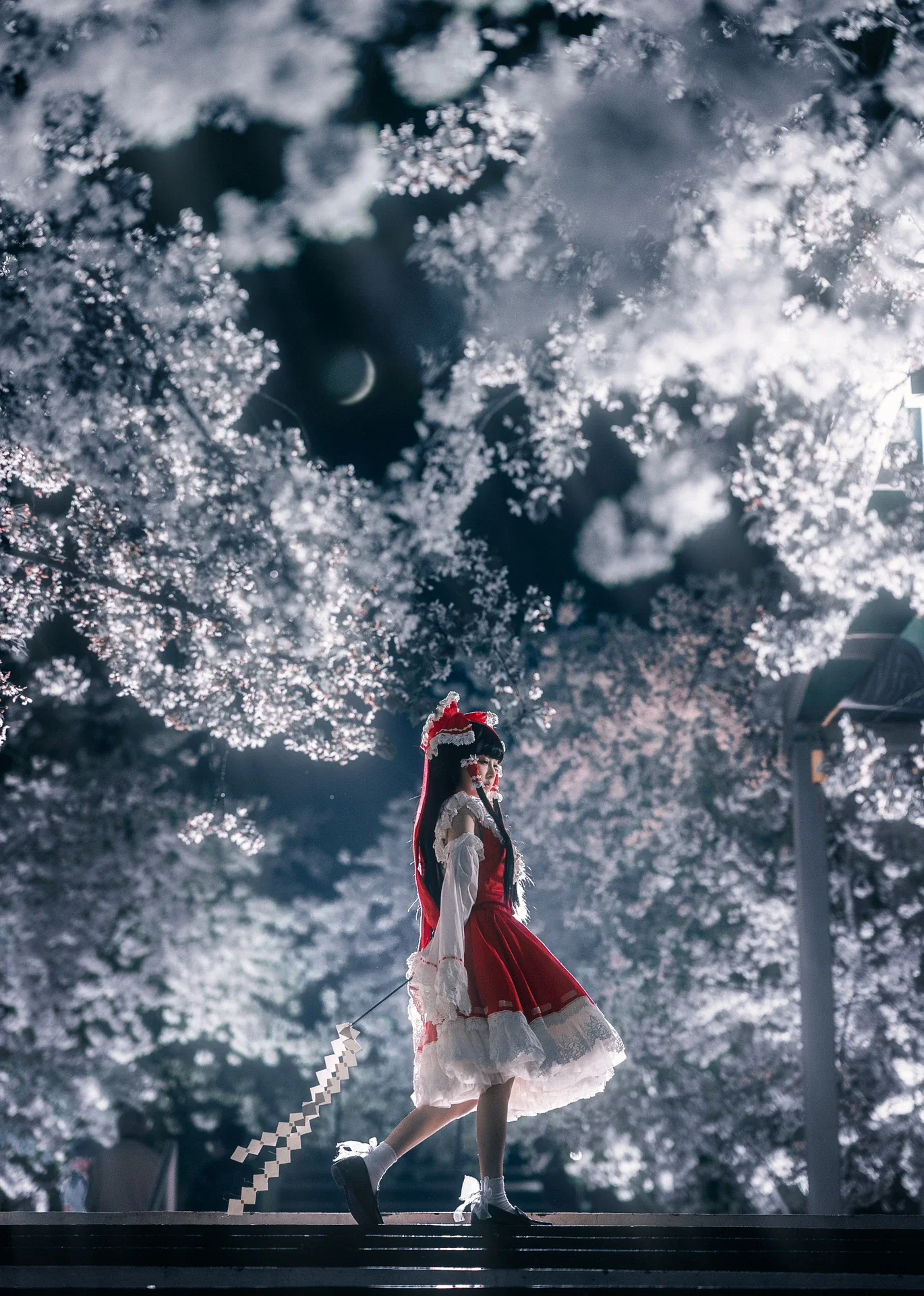 【博丽灵梦cos】夜樱下的红白巫女，静谧月光中的幻想乡 - 第 1 张