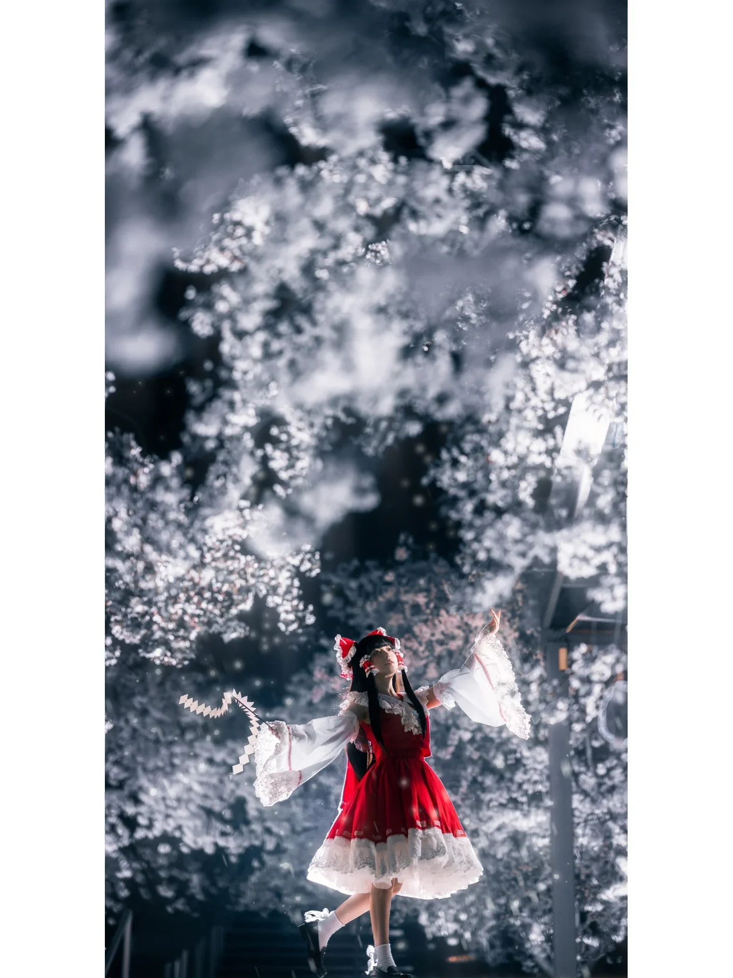【博丽灵梦cos】夜樱下的红白巫女，静谧月光中的幻想乡 - 第 3 张