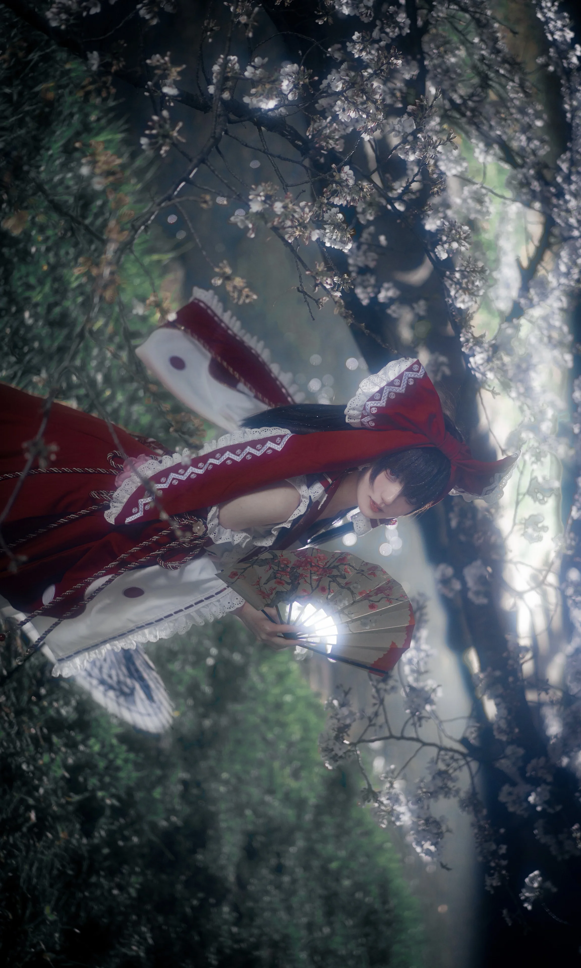 东方Project博丽灵梦cos，夜樱下的红白巫女祈愿 - 第 1 张