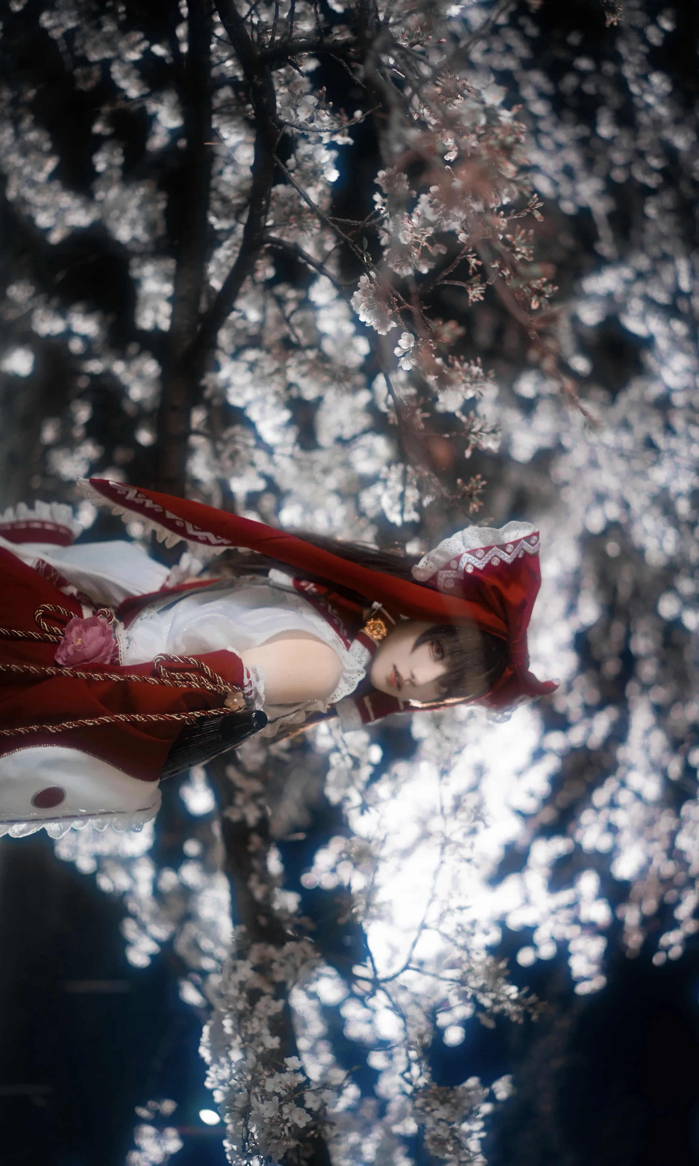 东方Project博丽灵梦cos，夜樱下的红白巫女祈愿 - 第 3 张