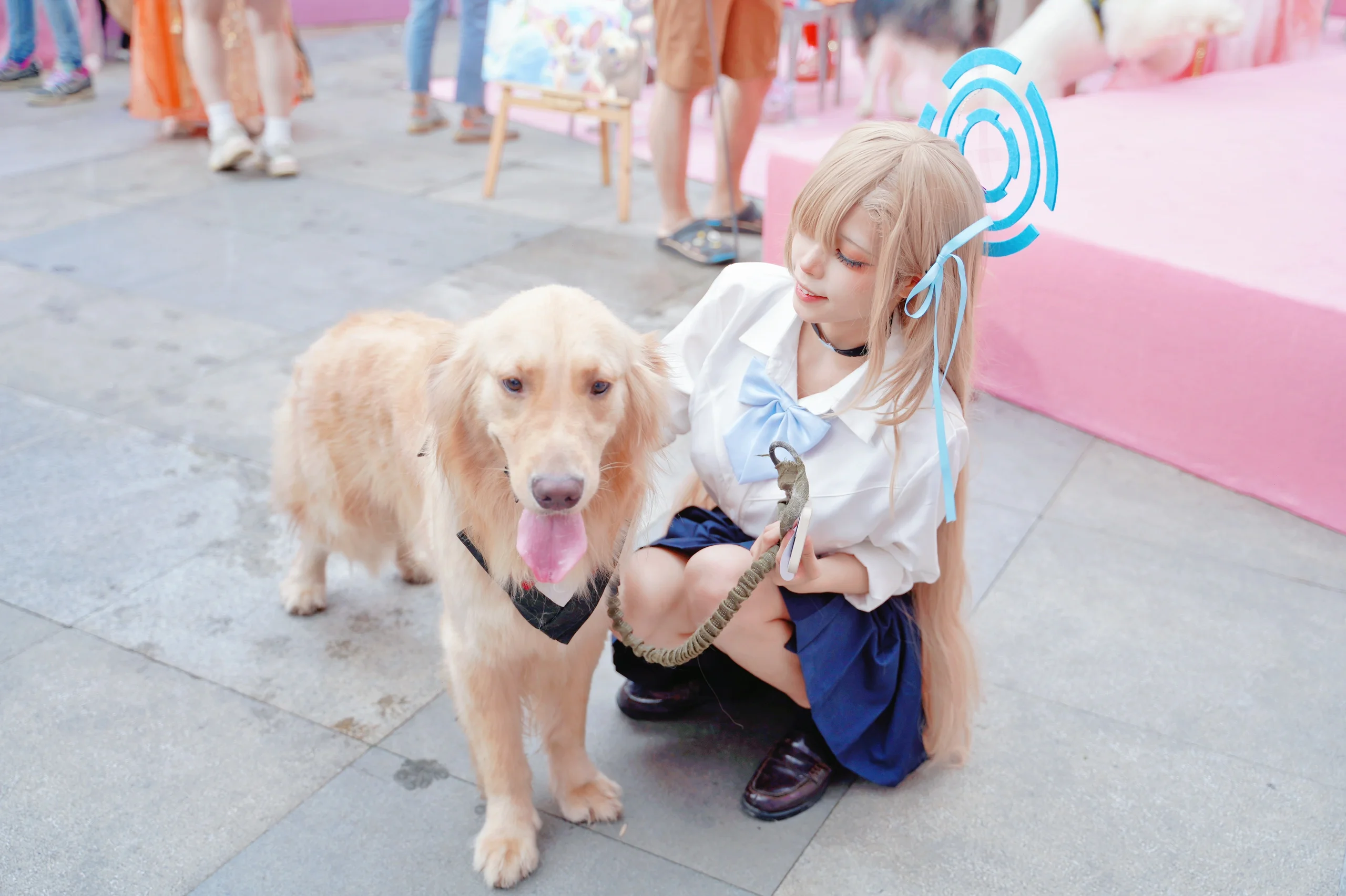 【明日奈cos】在漫展和金毛犬的治愈互动 - 第 3 张