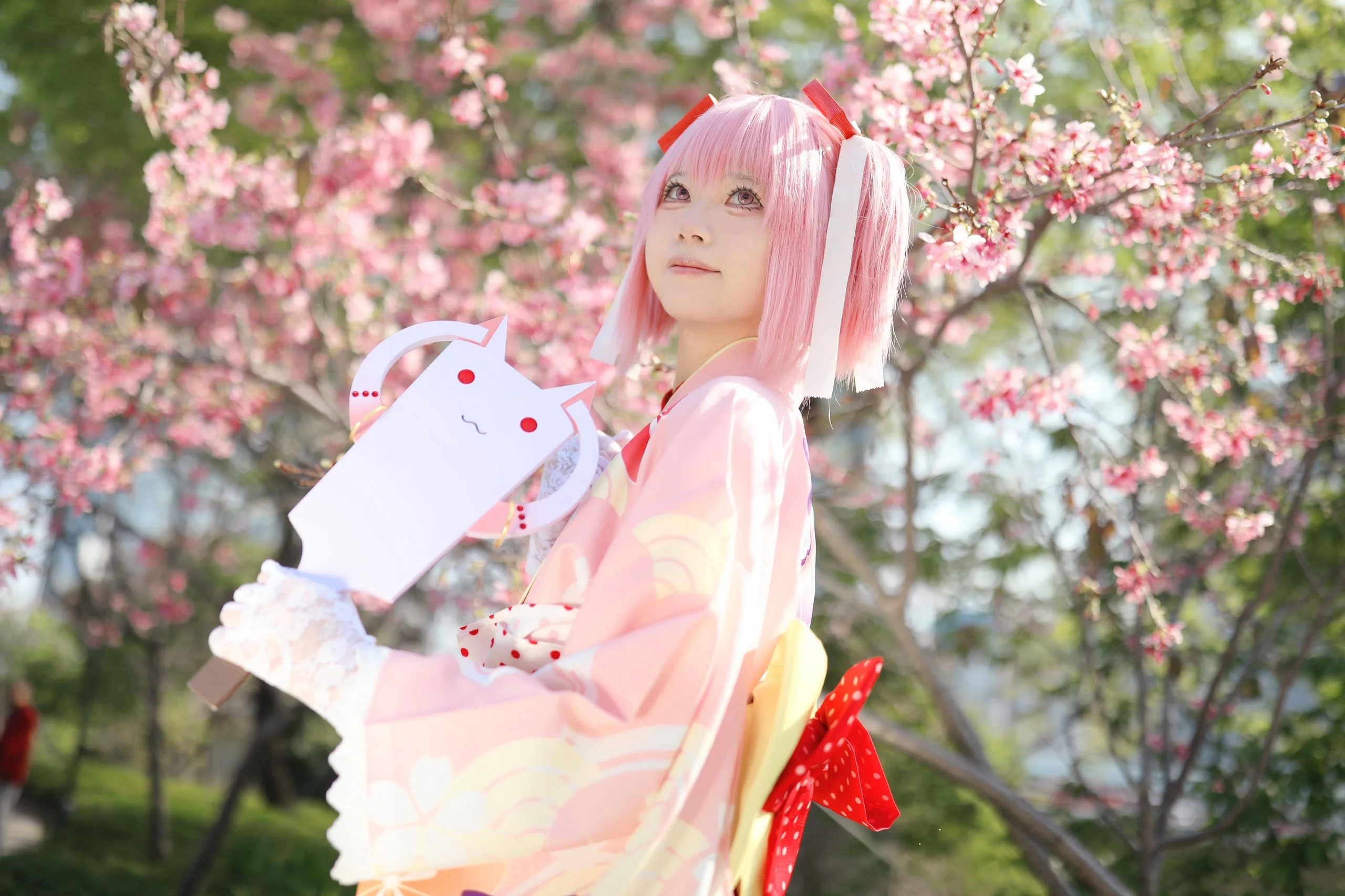 【鹿目圆cos】魔法少女小圆，樱花与和服下的镜像挑战