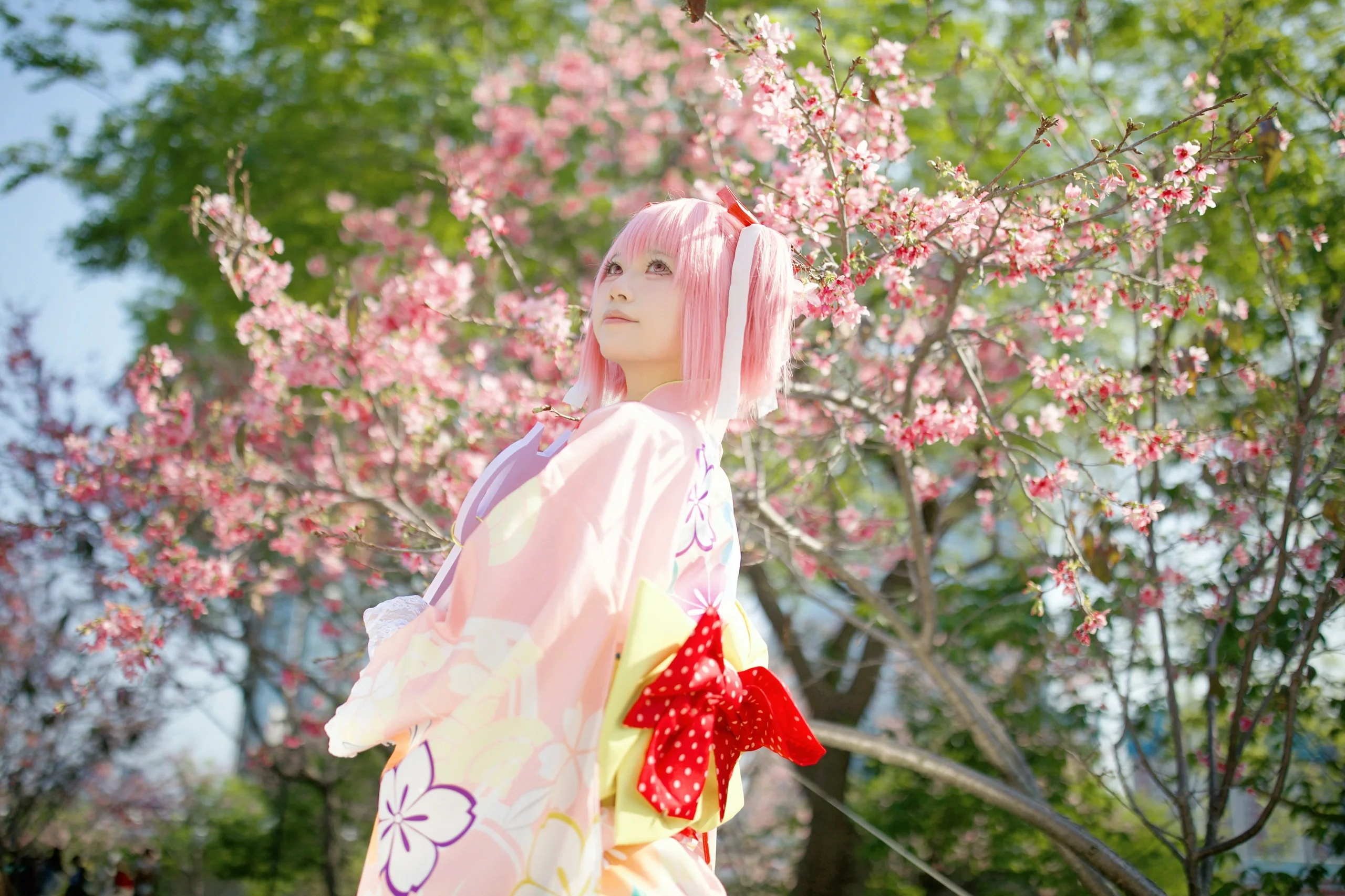 【鹿目圆cos】魔法少女小圆，樱花与和服下的镜像挑战 - 第 3 张